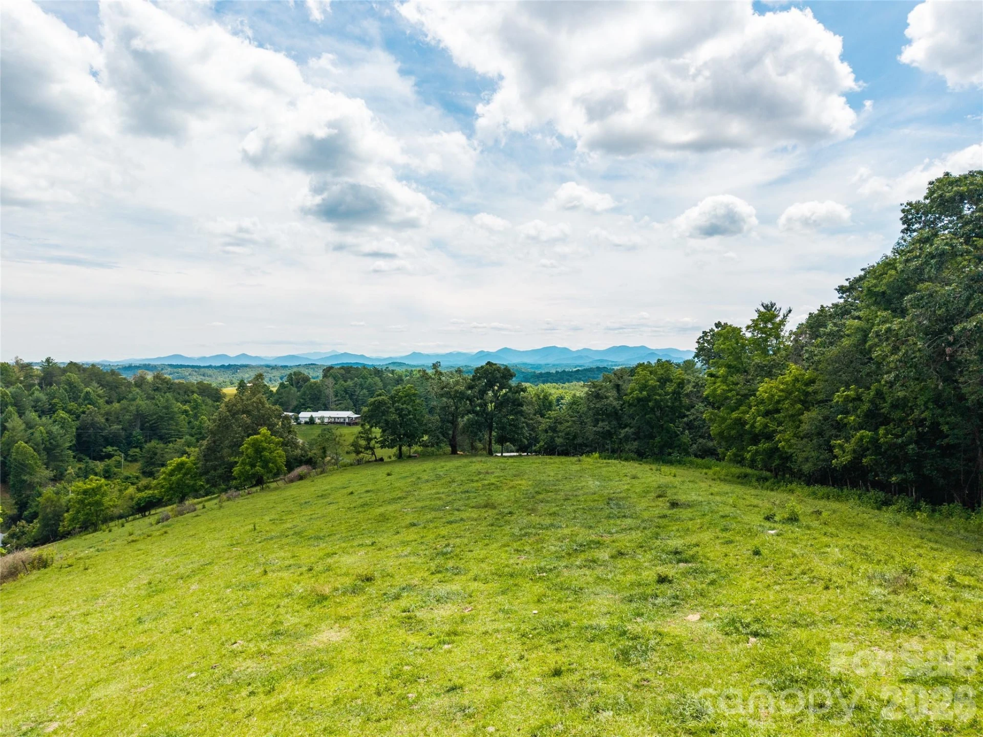 737 Tillery Branch Road - Photo 4