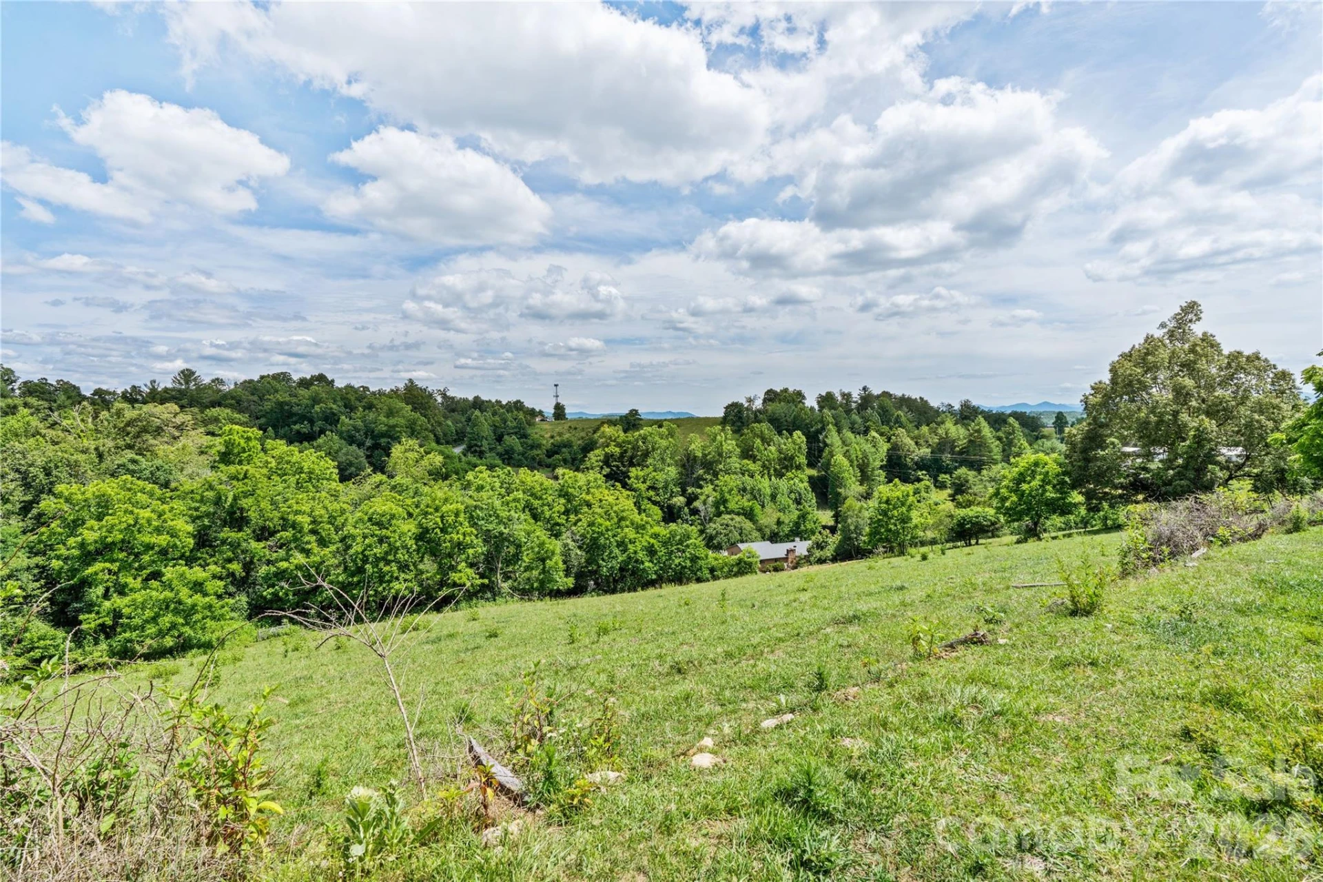 737 Tillery Branch Road - Photo 21