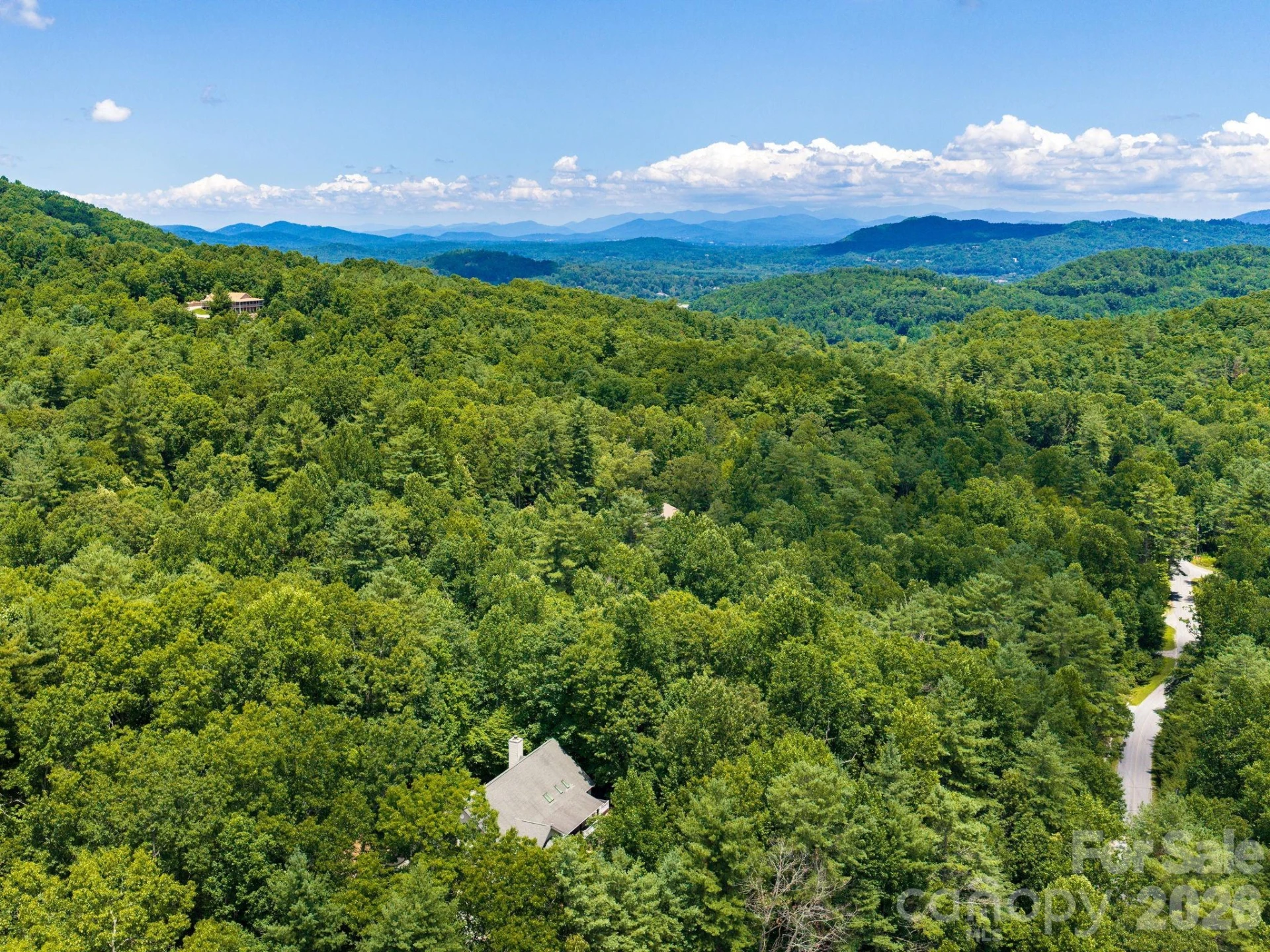 49 Indian Ridge Trail - Photo 38