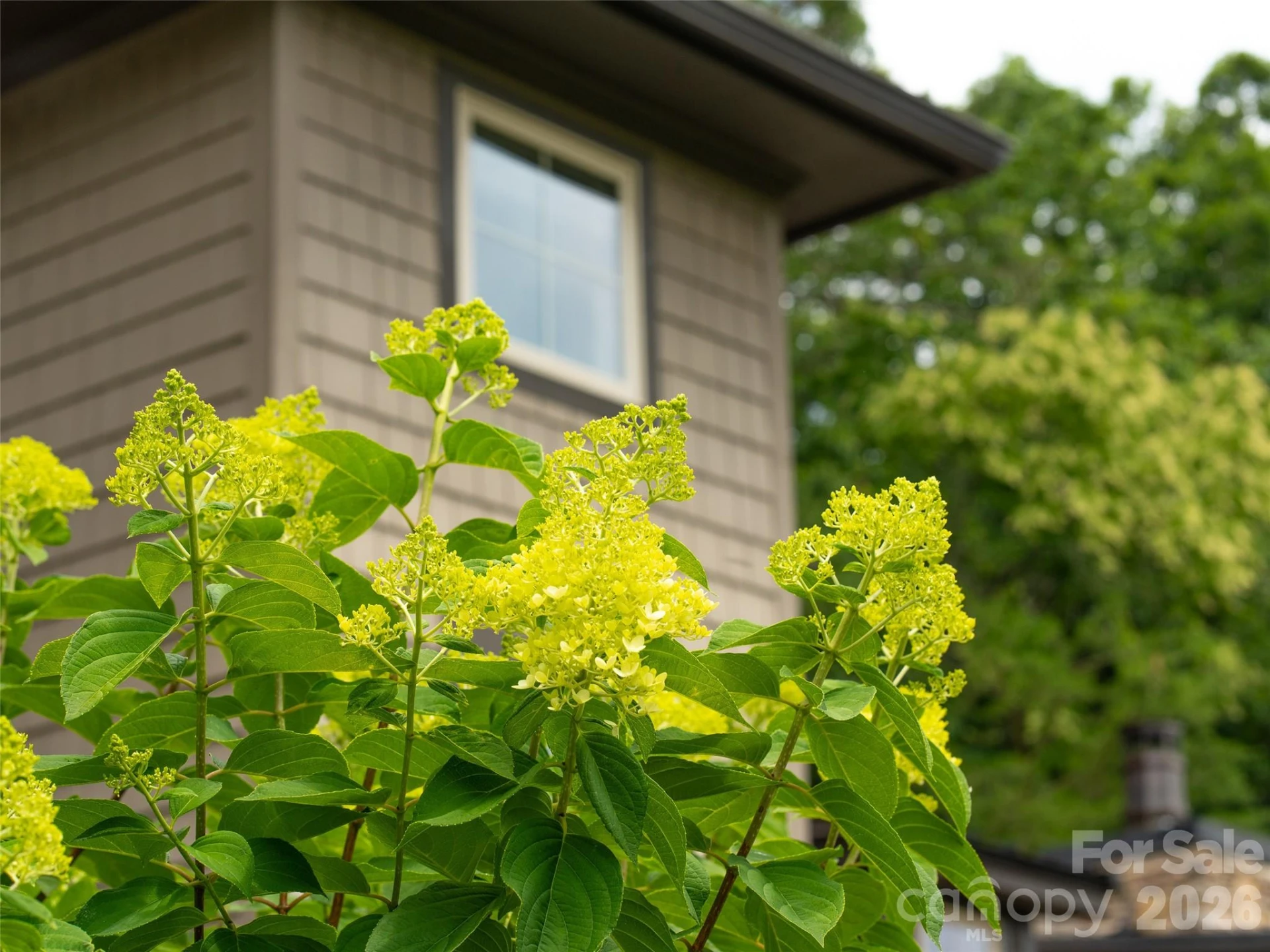 101 Glen Trillium Drive - Photo 39