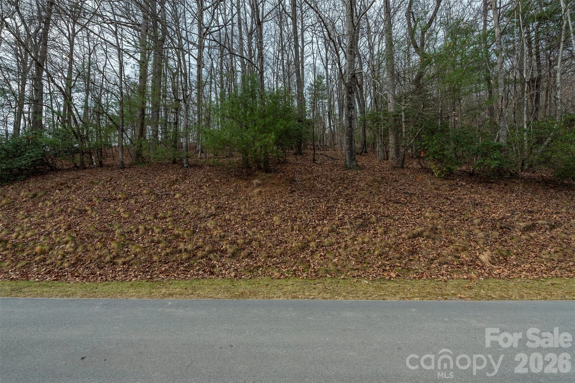 24 Falls Lane - Photo 10