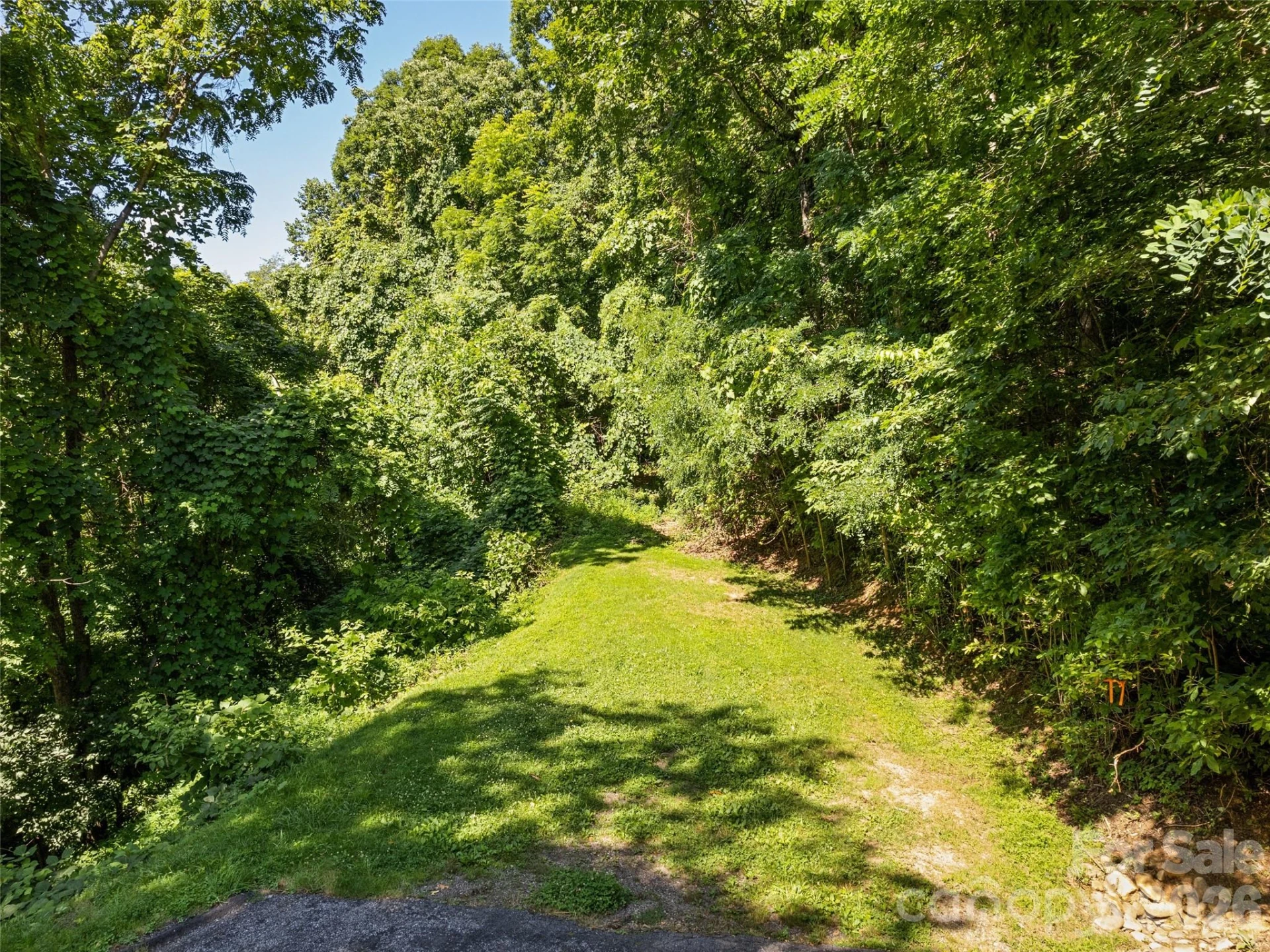 TBD Grandview Cliff Heights - Photo 2