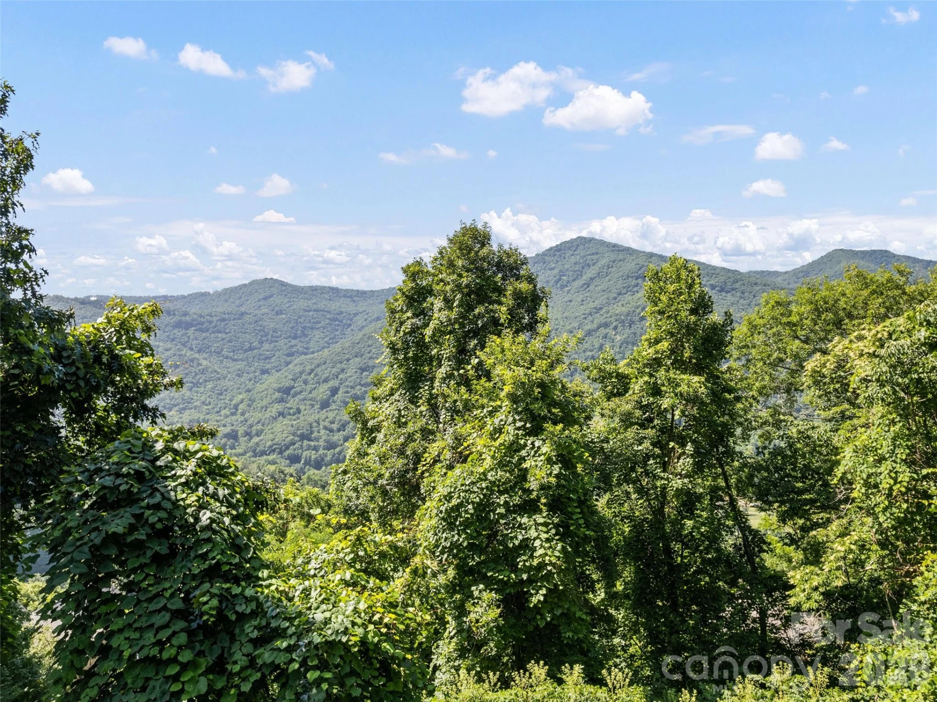 TBD Grandview Cliff Heights - Photo 4