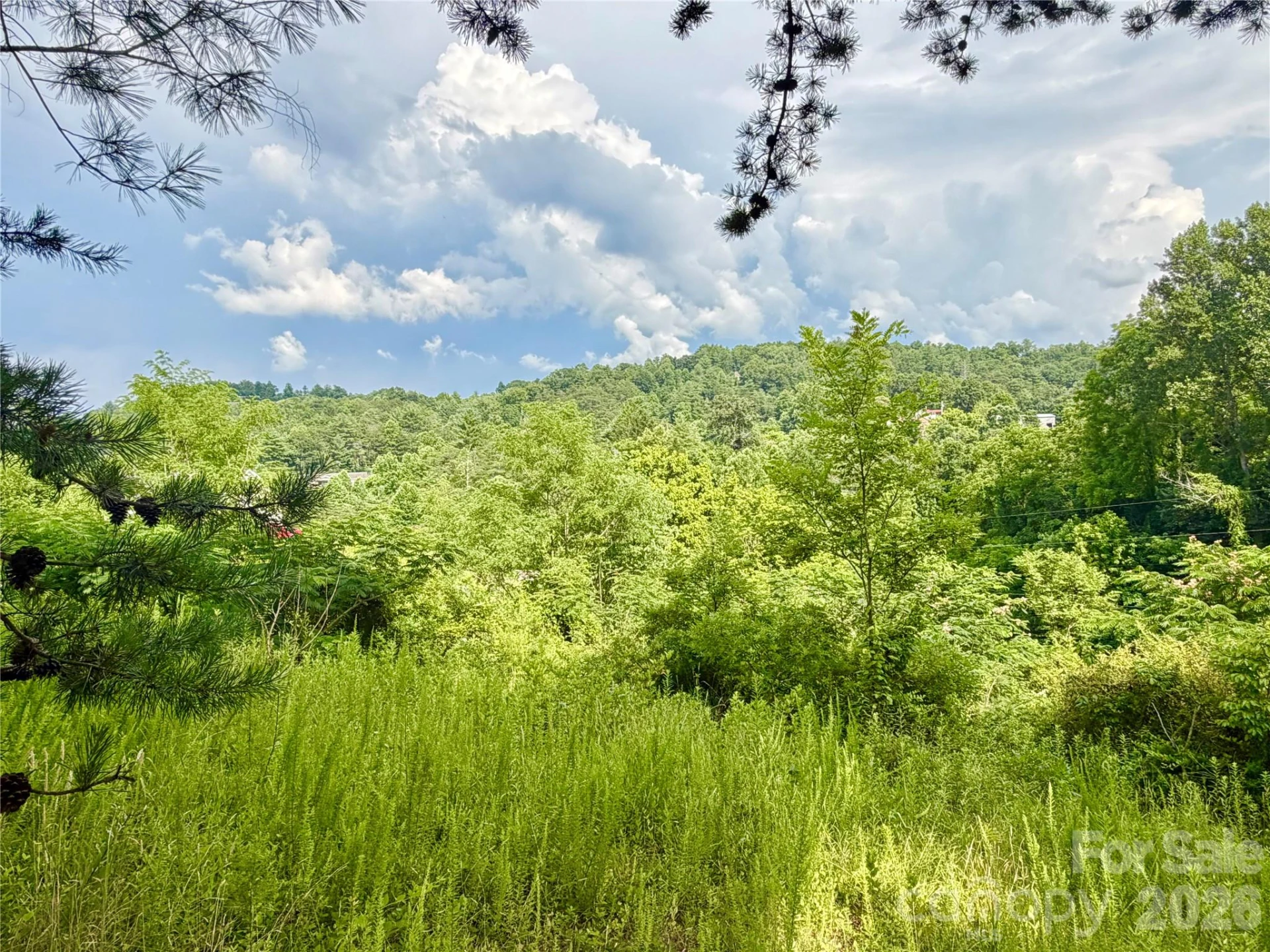 100 Sprouse Town Road - Photo 3