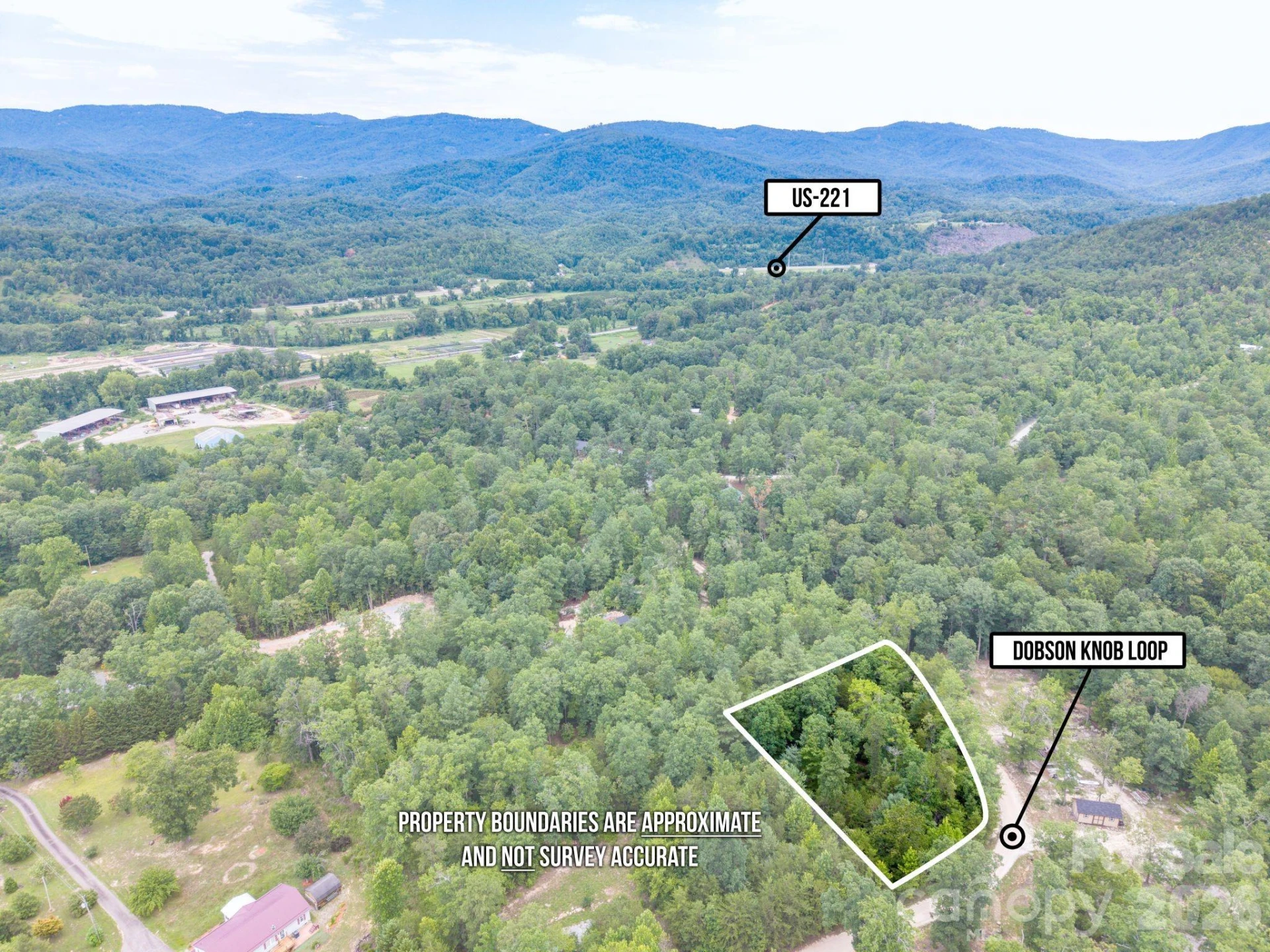 6 Dobsons Knob Loop - Photo 12