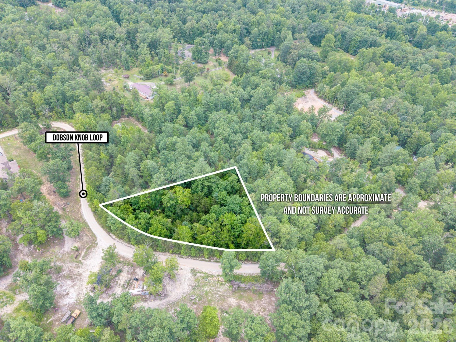 6 Dobsons Knob Loop - Photo 14