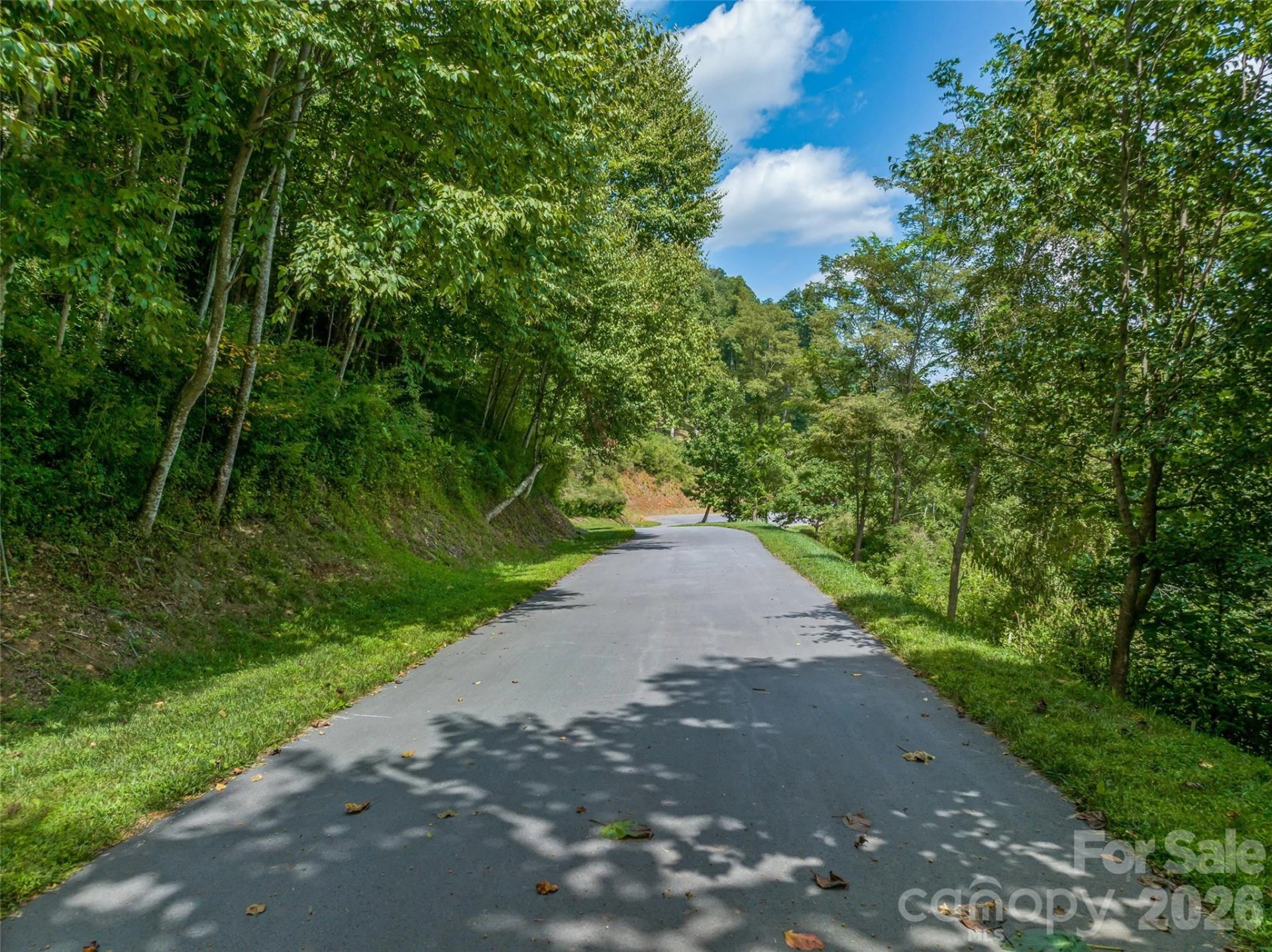 177 Rolling Stone Court #61 - Photo 3