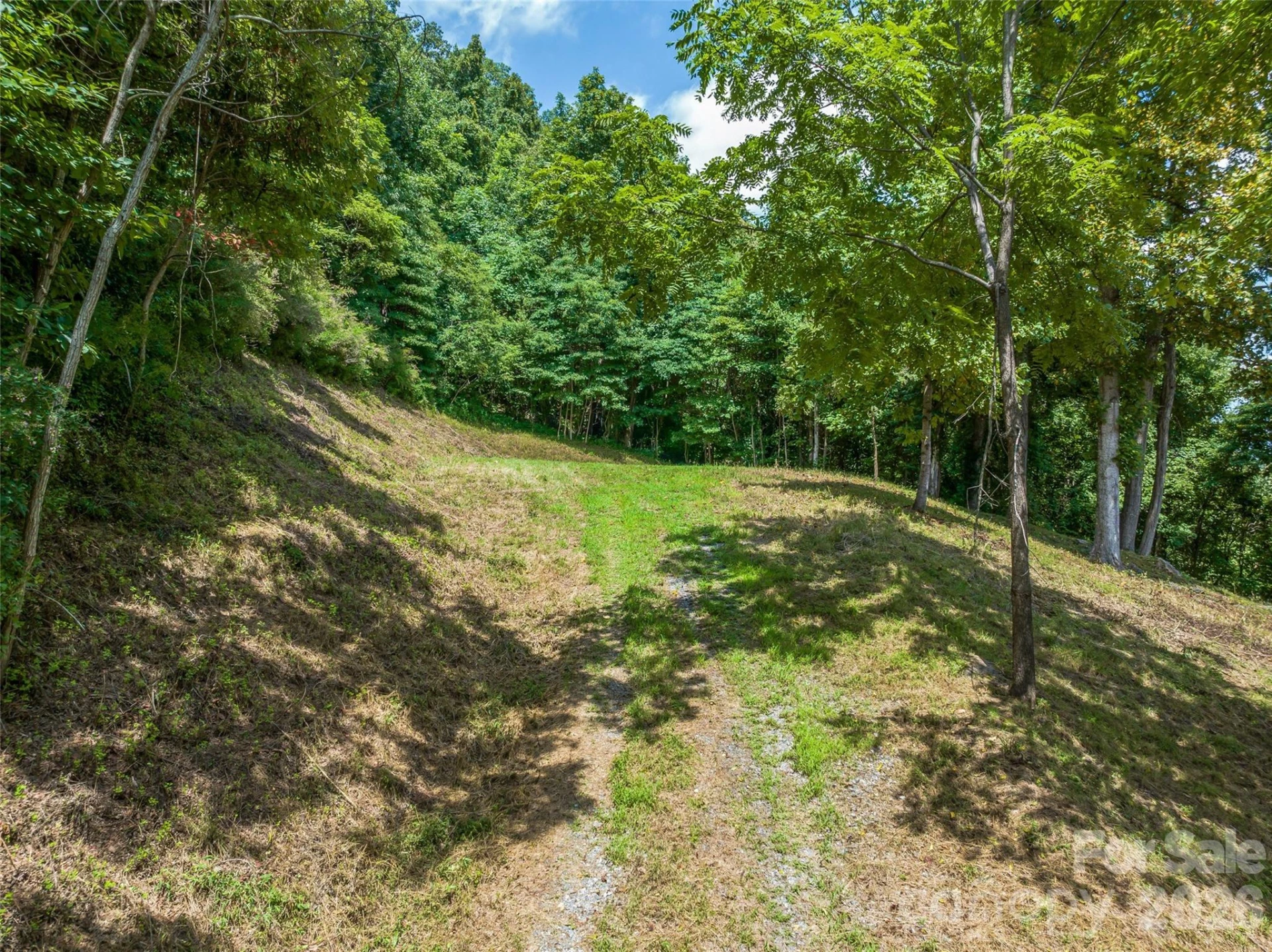177 Rolling Stone Court #61 - Photo 4