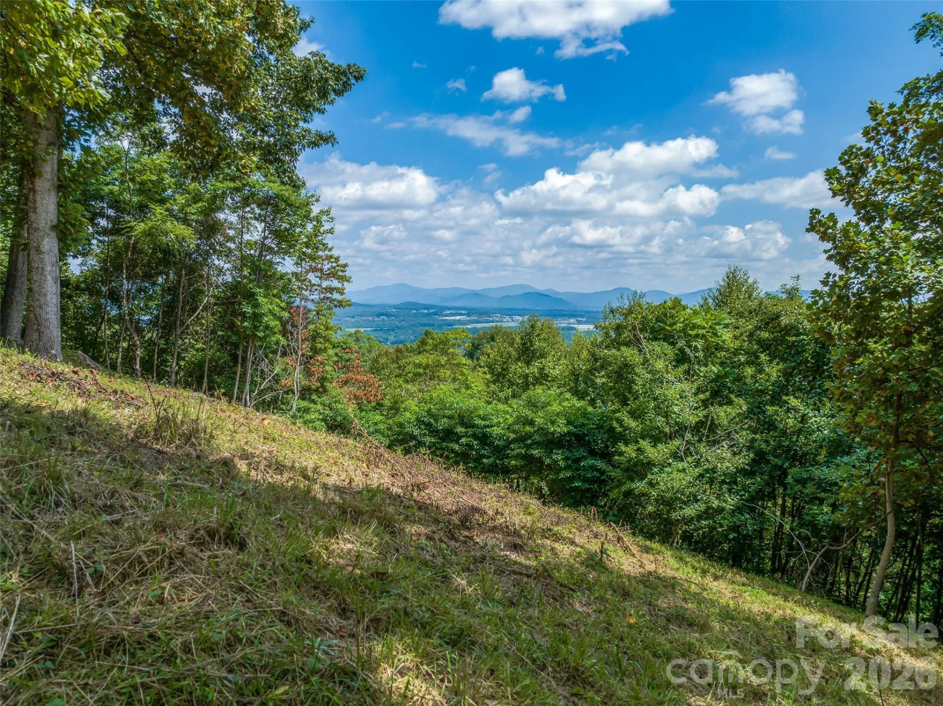 177 Rolling Stone Court #61 - Photo 5