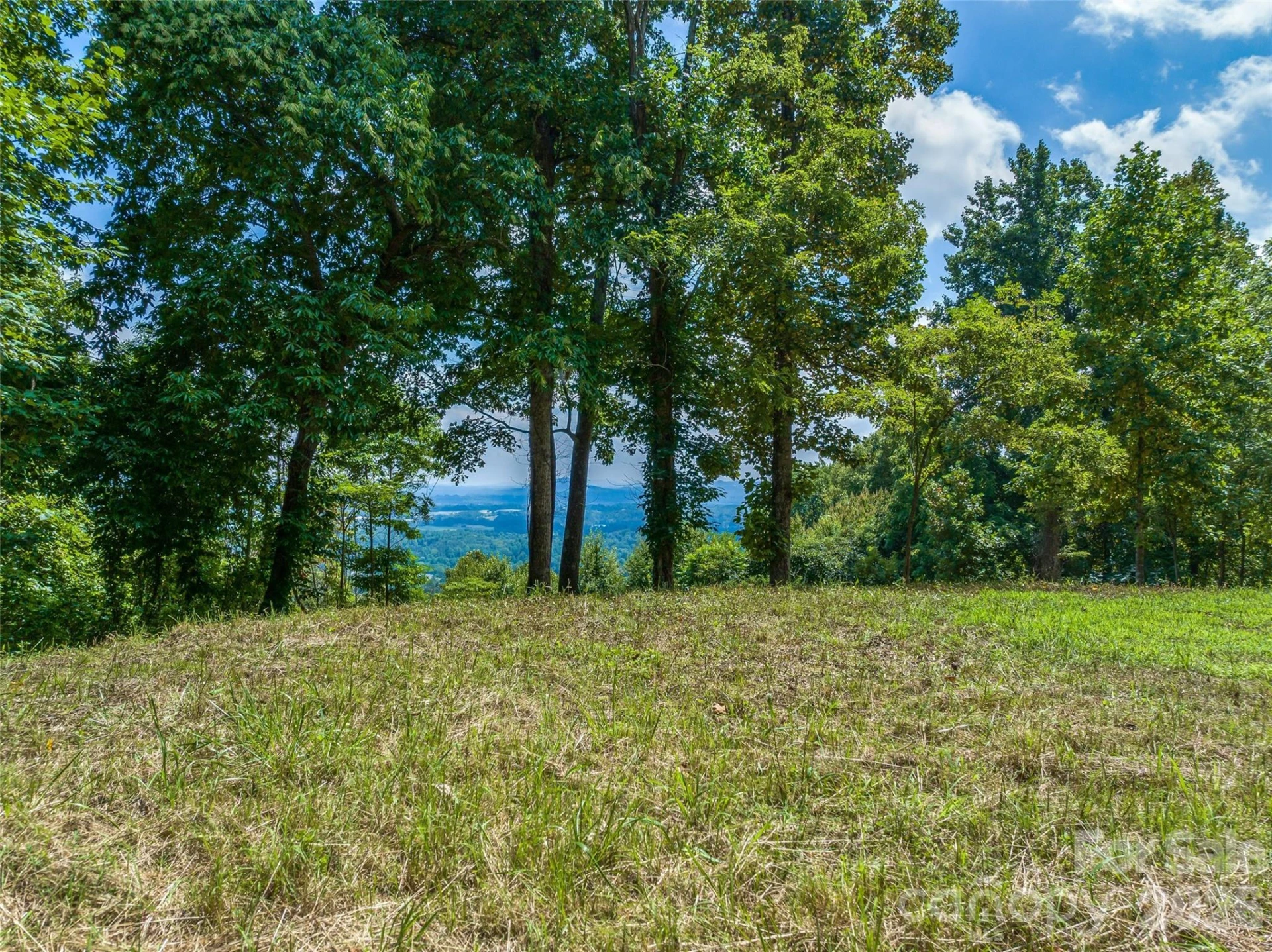177 Rolling Stone Court #61 - Photo 6