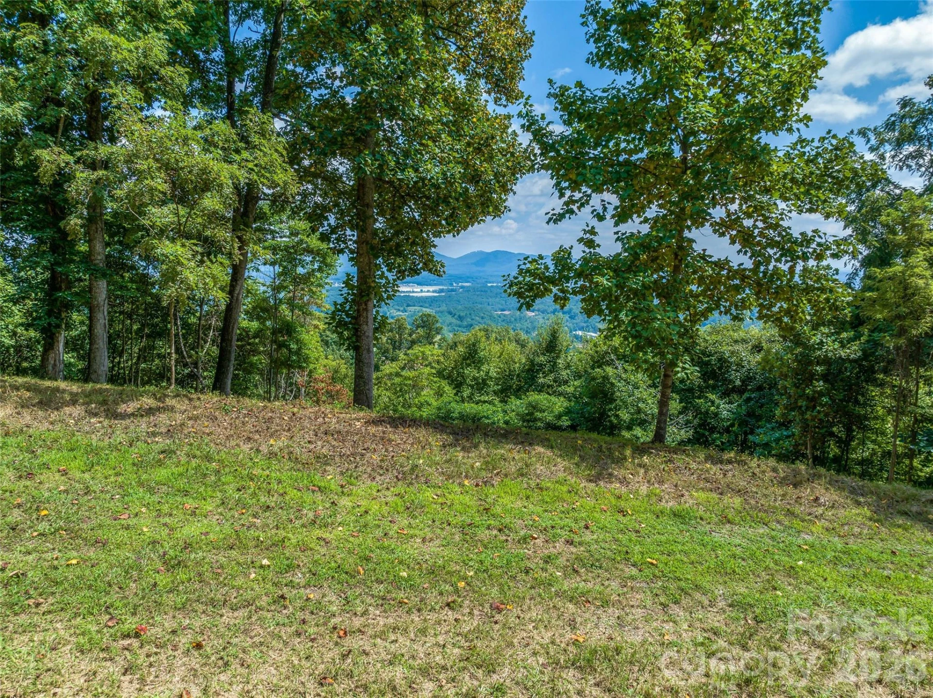 177 Rolling Stone Court #61 - Photo 7