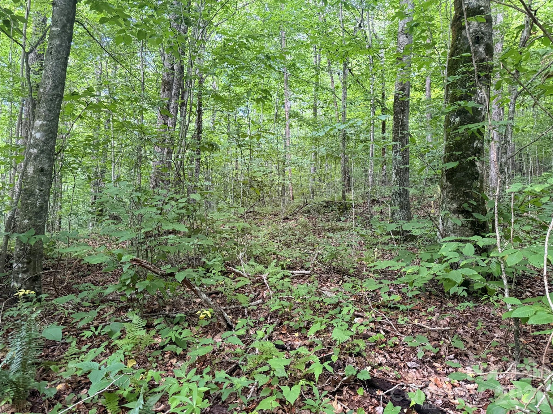 64A Jonathan Trail - Photo 15