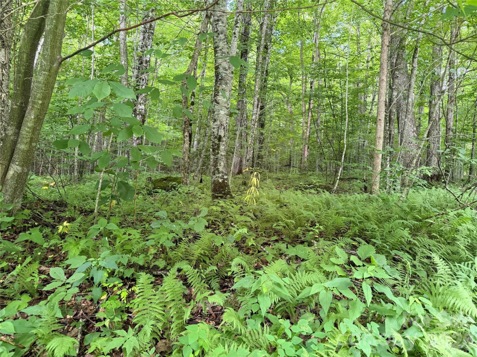 64A Jonathan Trail - Photo 5