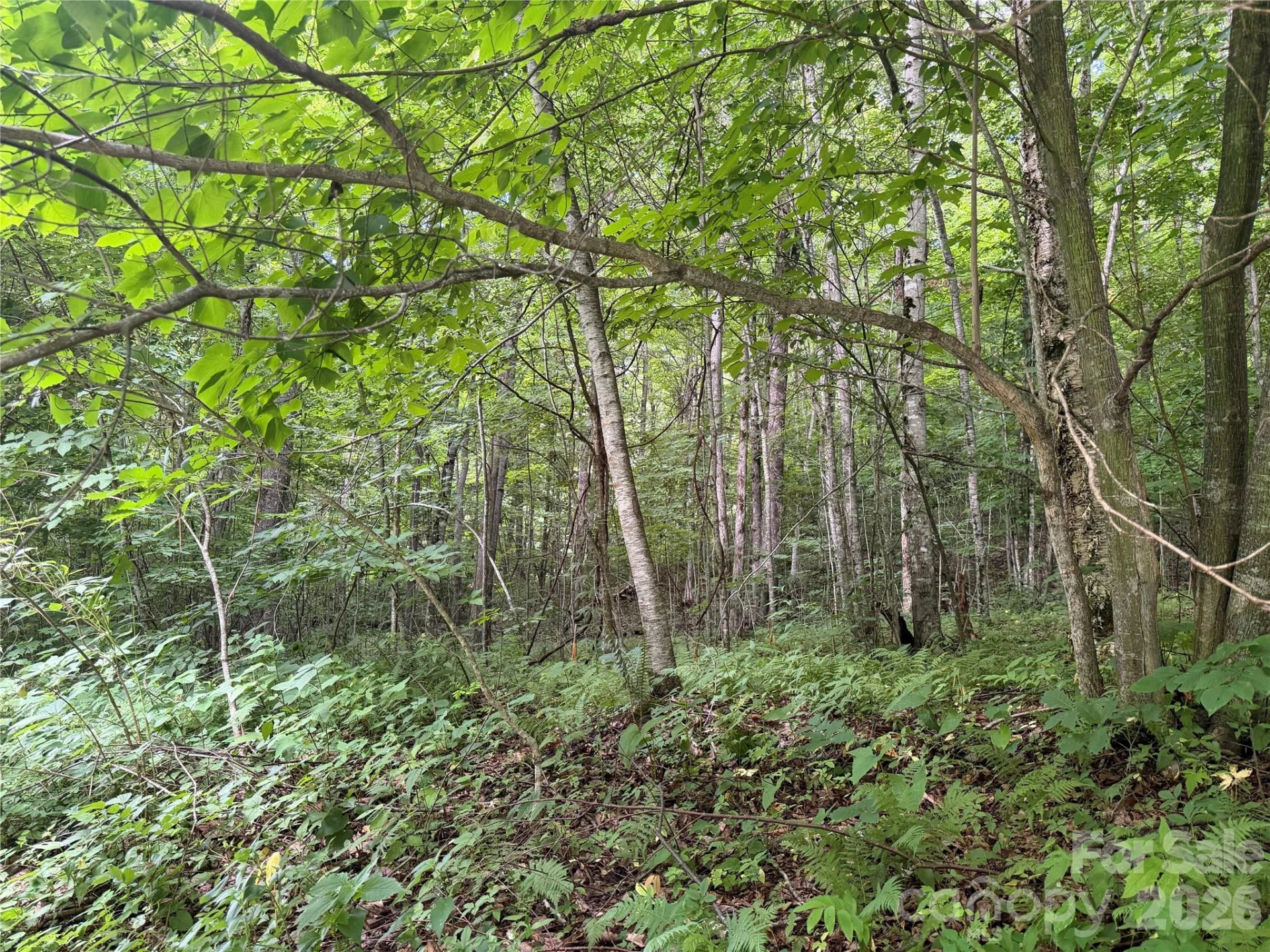 64A Jonathan Trail - Photo 7