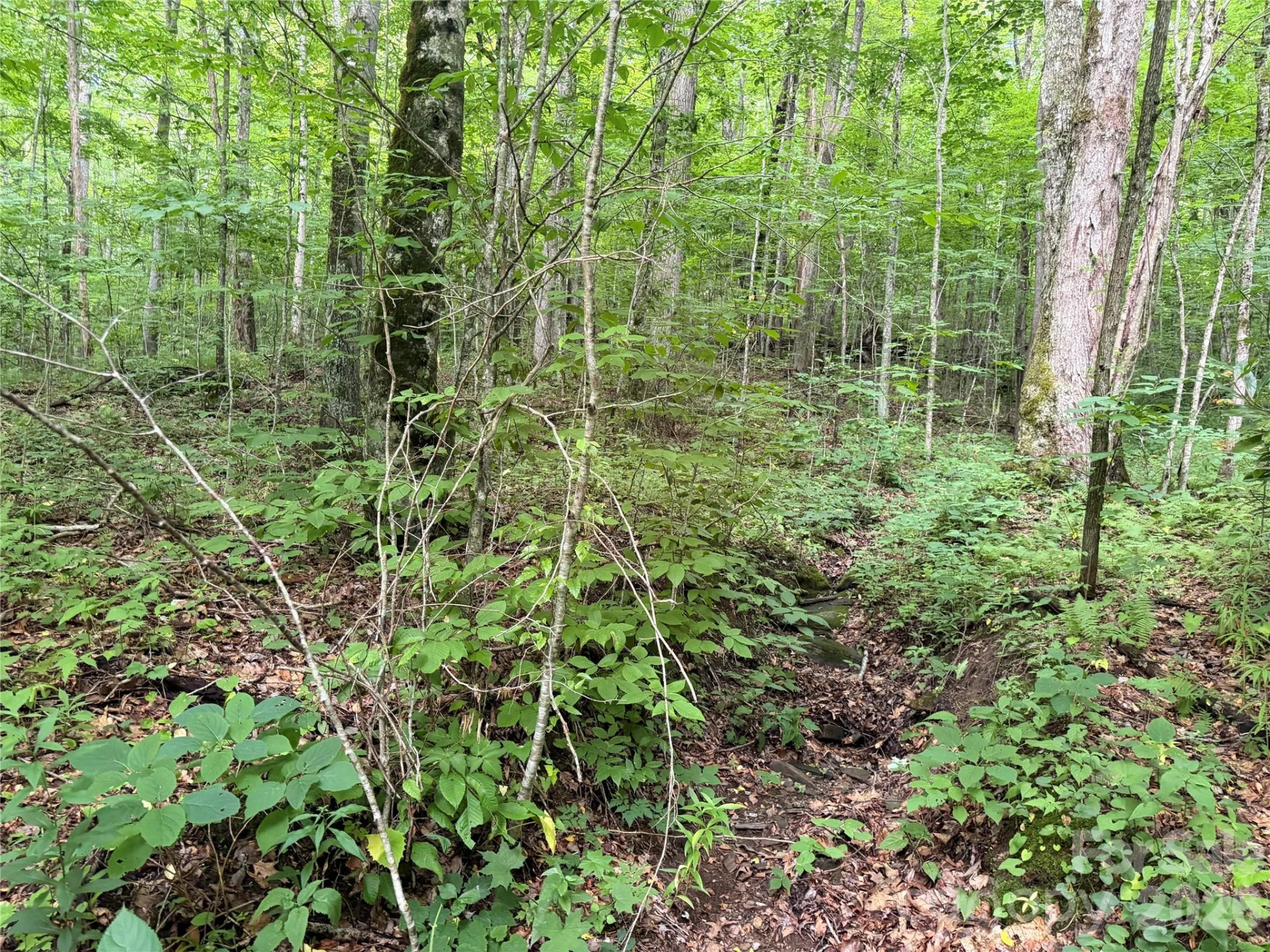 64A Jonathan Trail - Photo 8