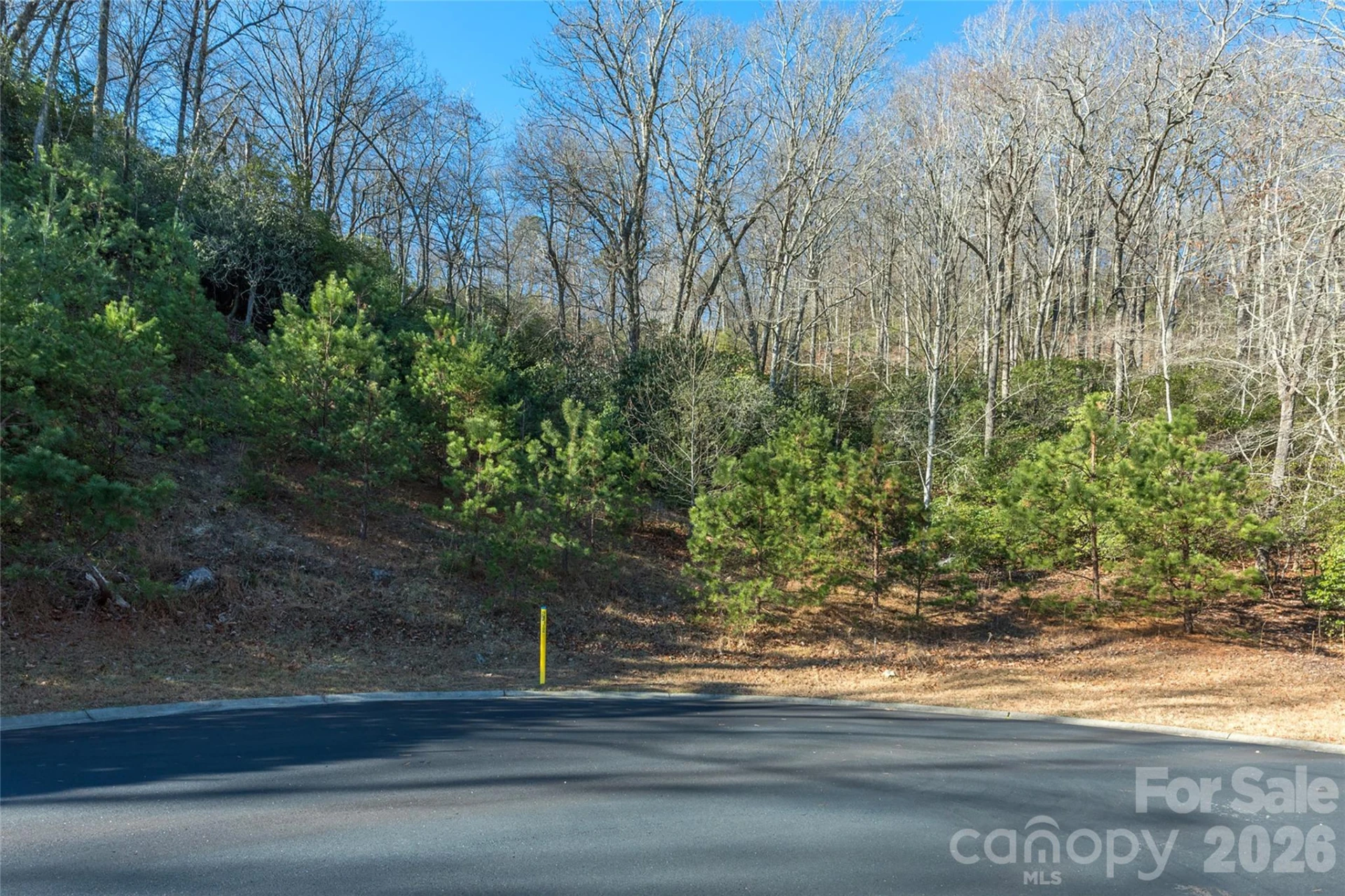 9999 Mayfly Lane #106 - Photo 2
