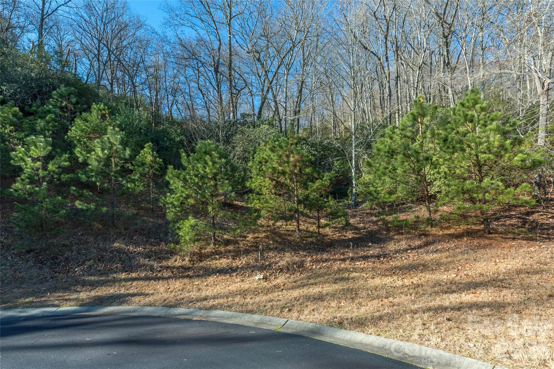 9999 Mayfly Lane #106 - Photo 3