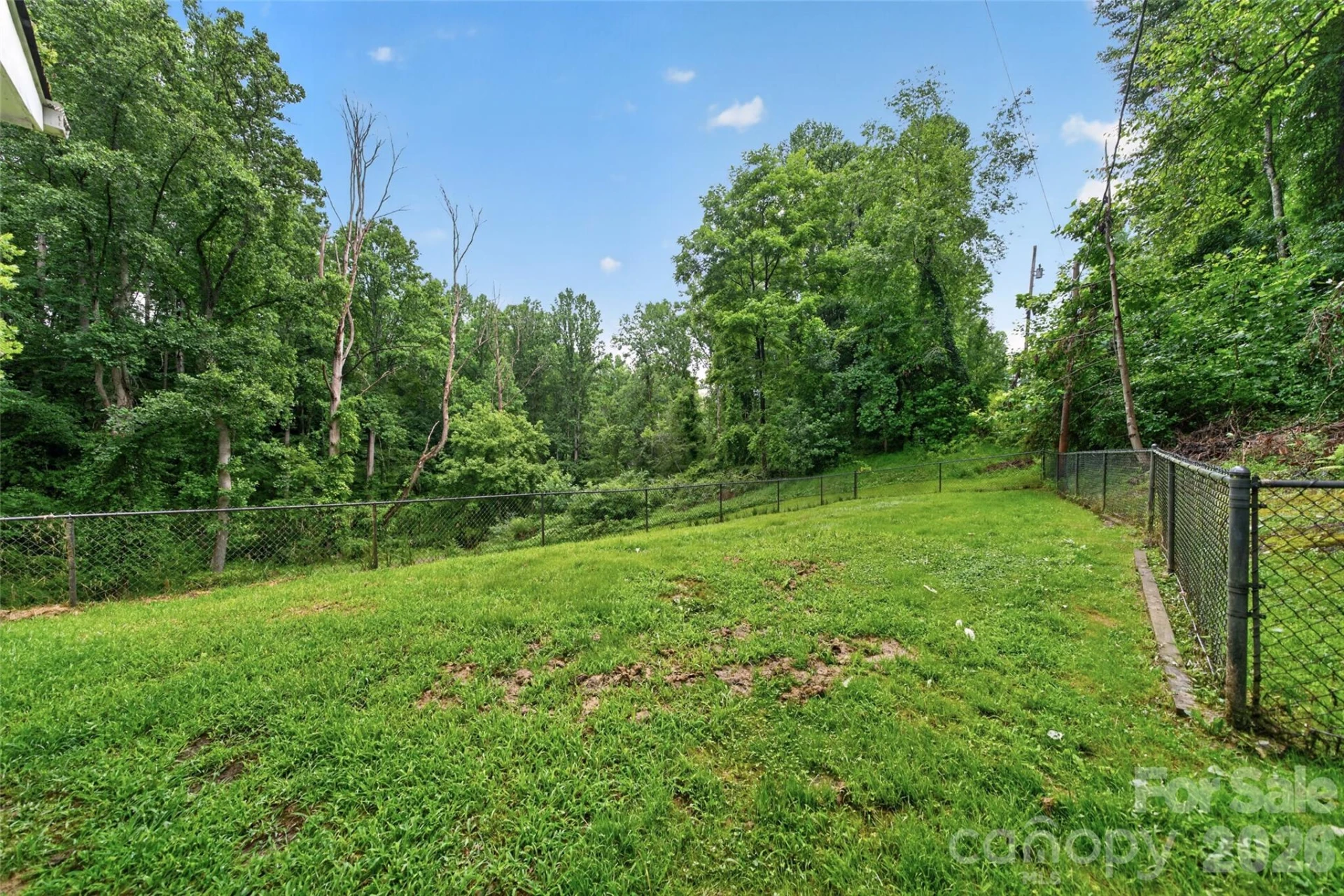3882 New Leicester Highway - Photo 36