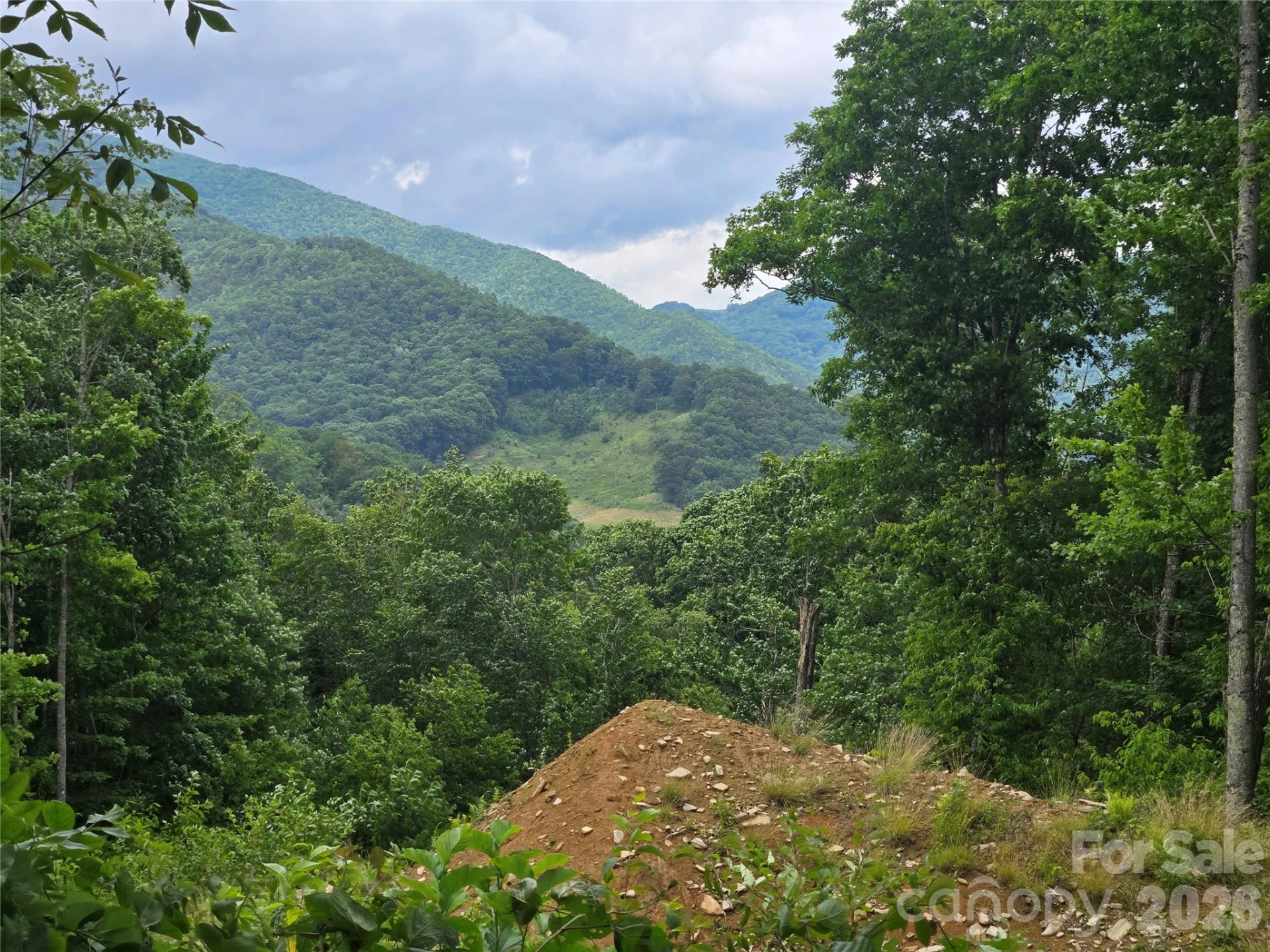 52 Lantern Ridge - Photo 2