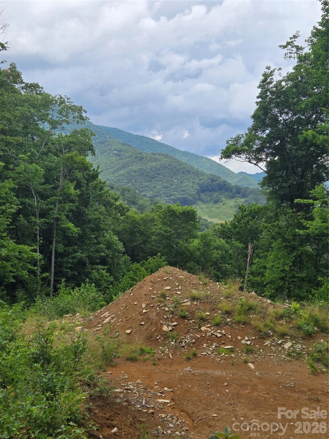 52 Lantern Ridge - Photo 11