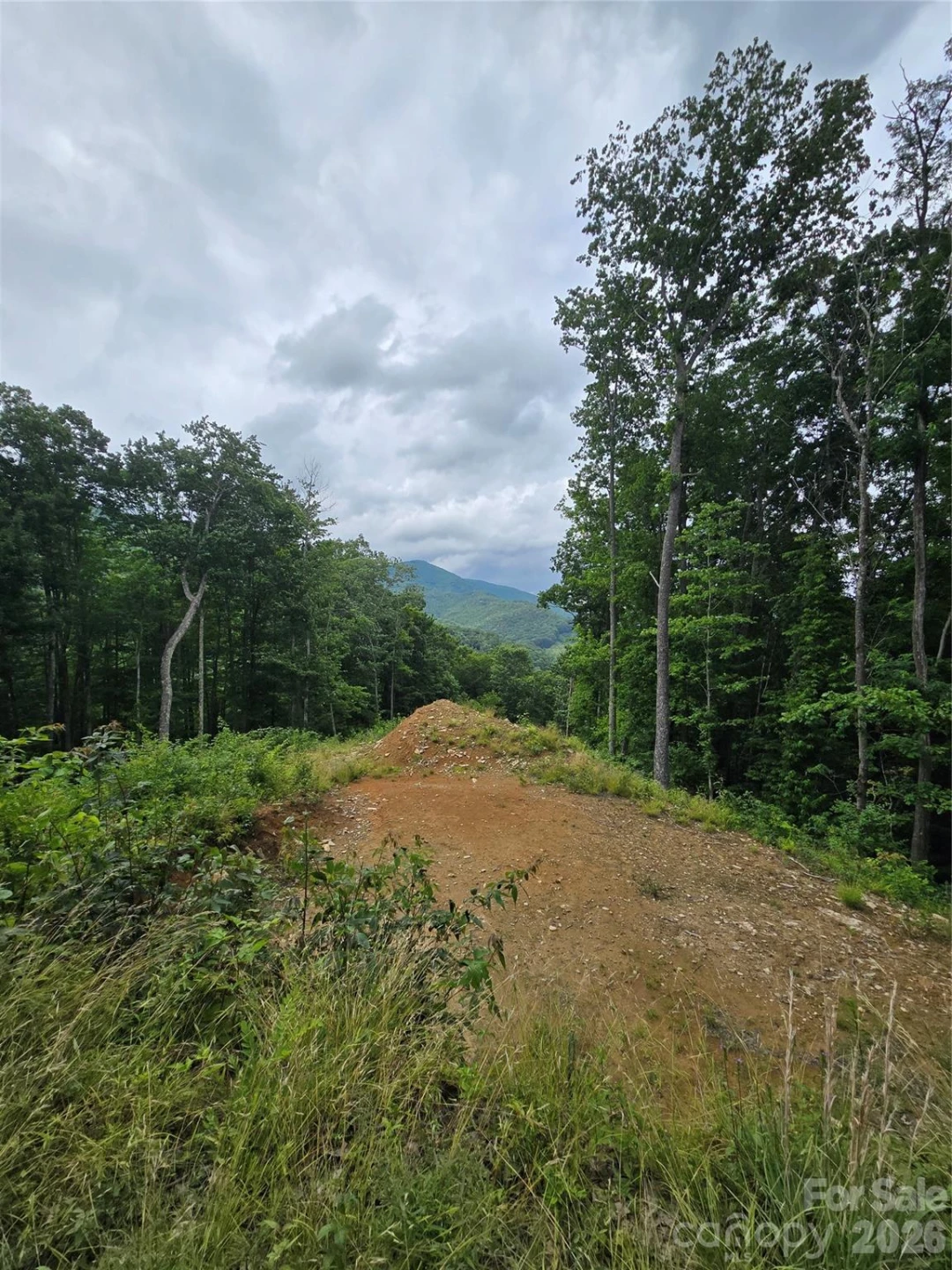 52 Lantern Ridge - Photo 14