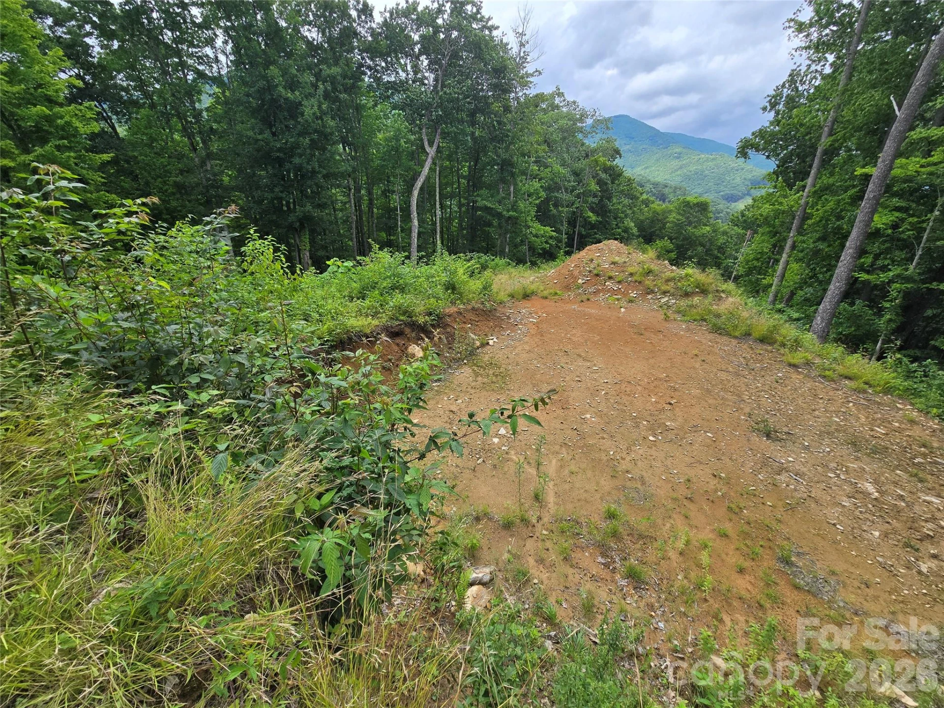 52 Lantern Ridge - Photo 5