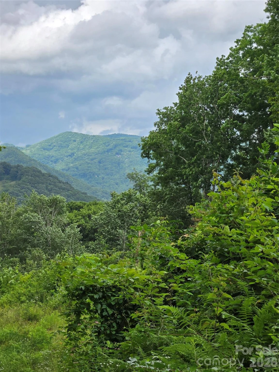 52 Lantern Ridge - Photo 9