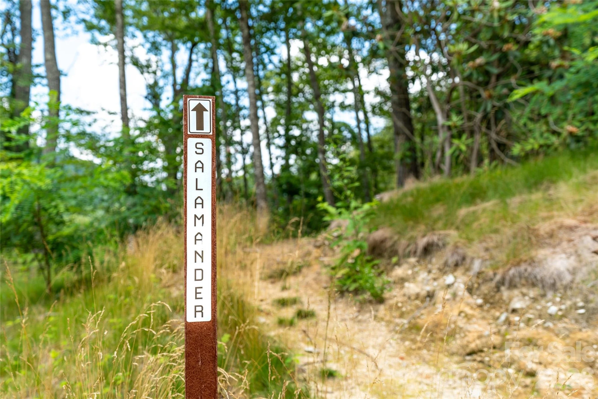 99999 E Garden Trail #46 - Photo 20