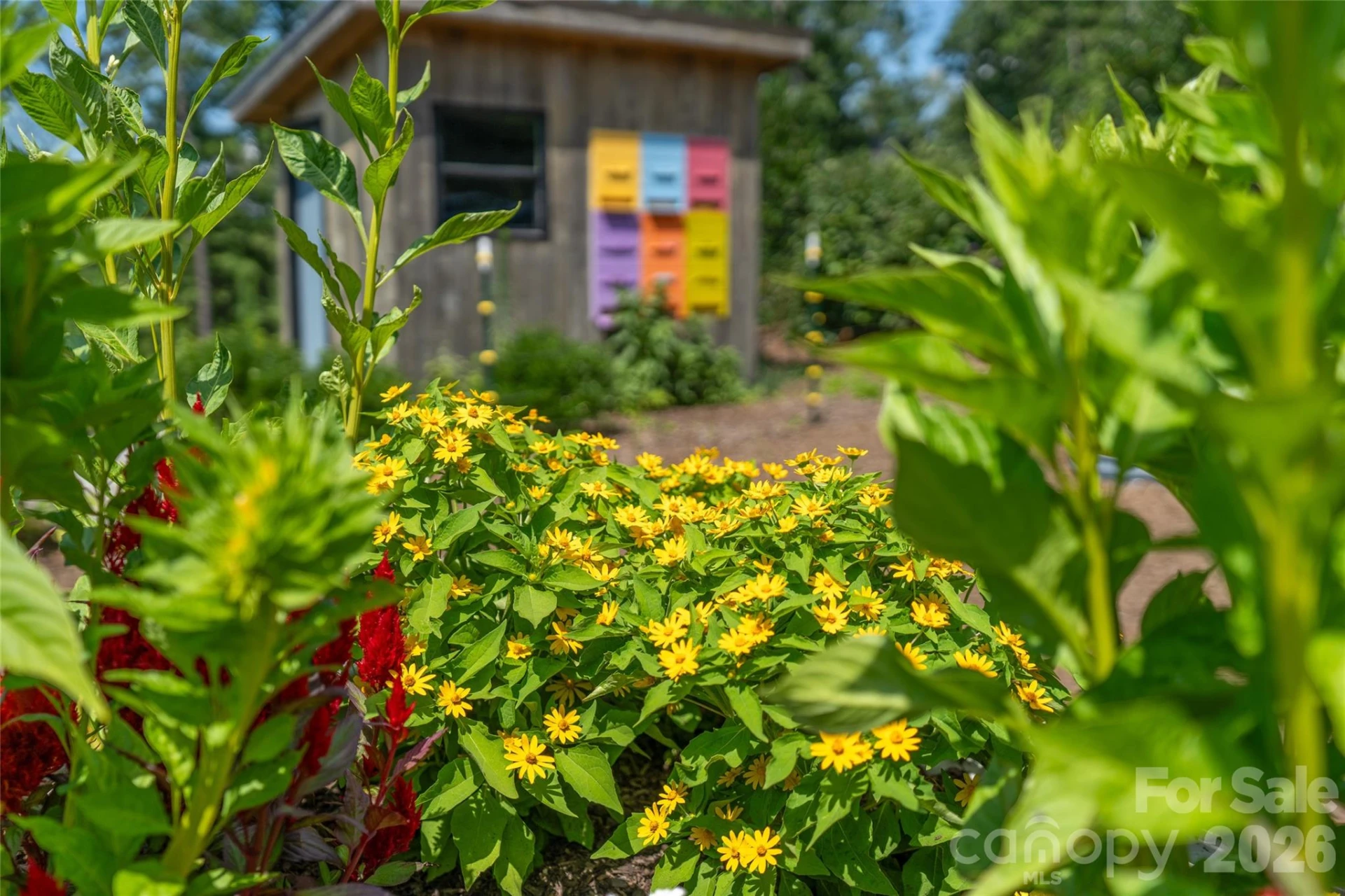 99999 E Garden Trail #46 - Photo 26