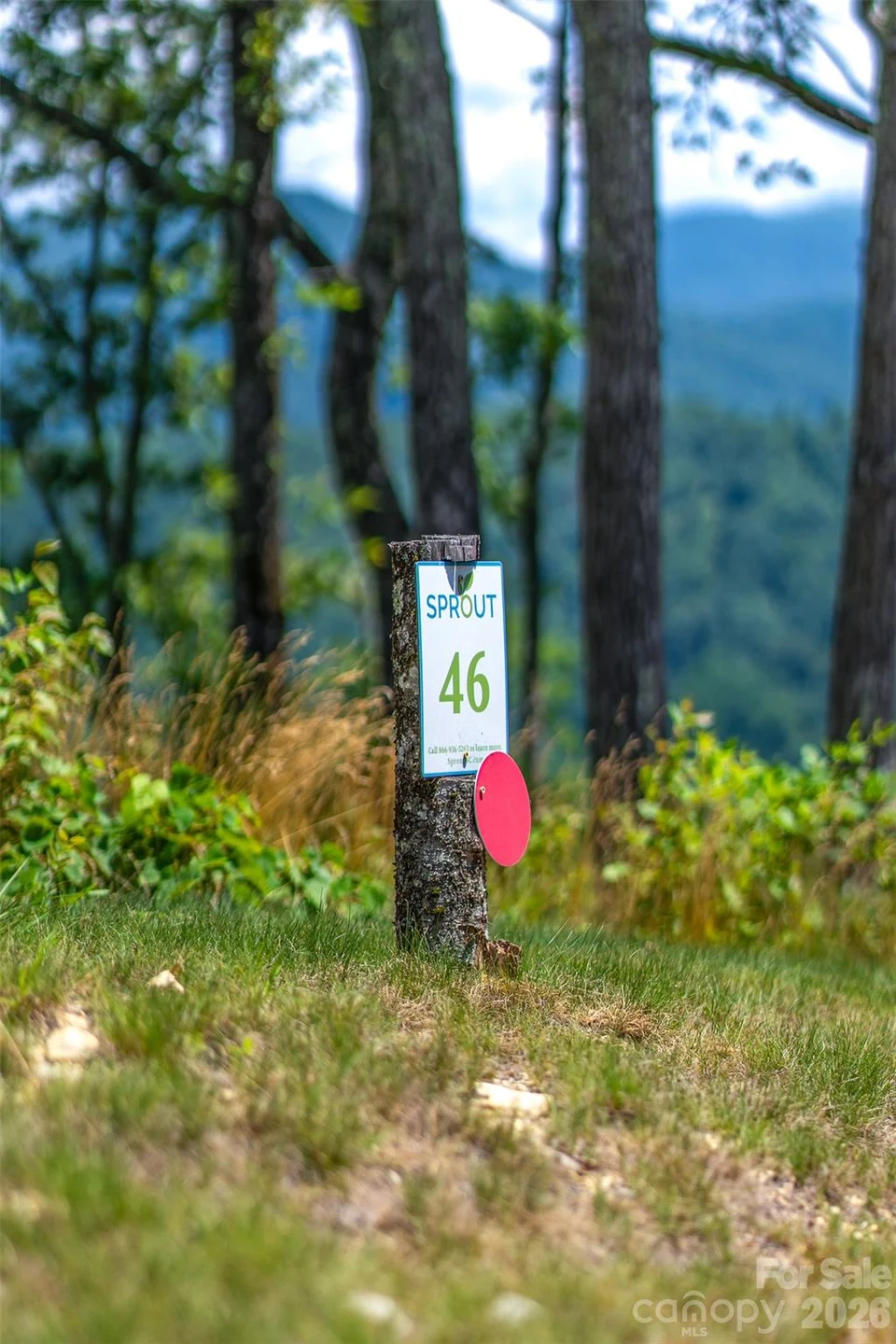 99999 E Garden Trail #46 - Photo 4