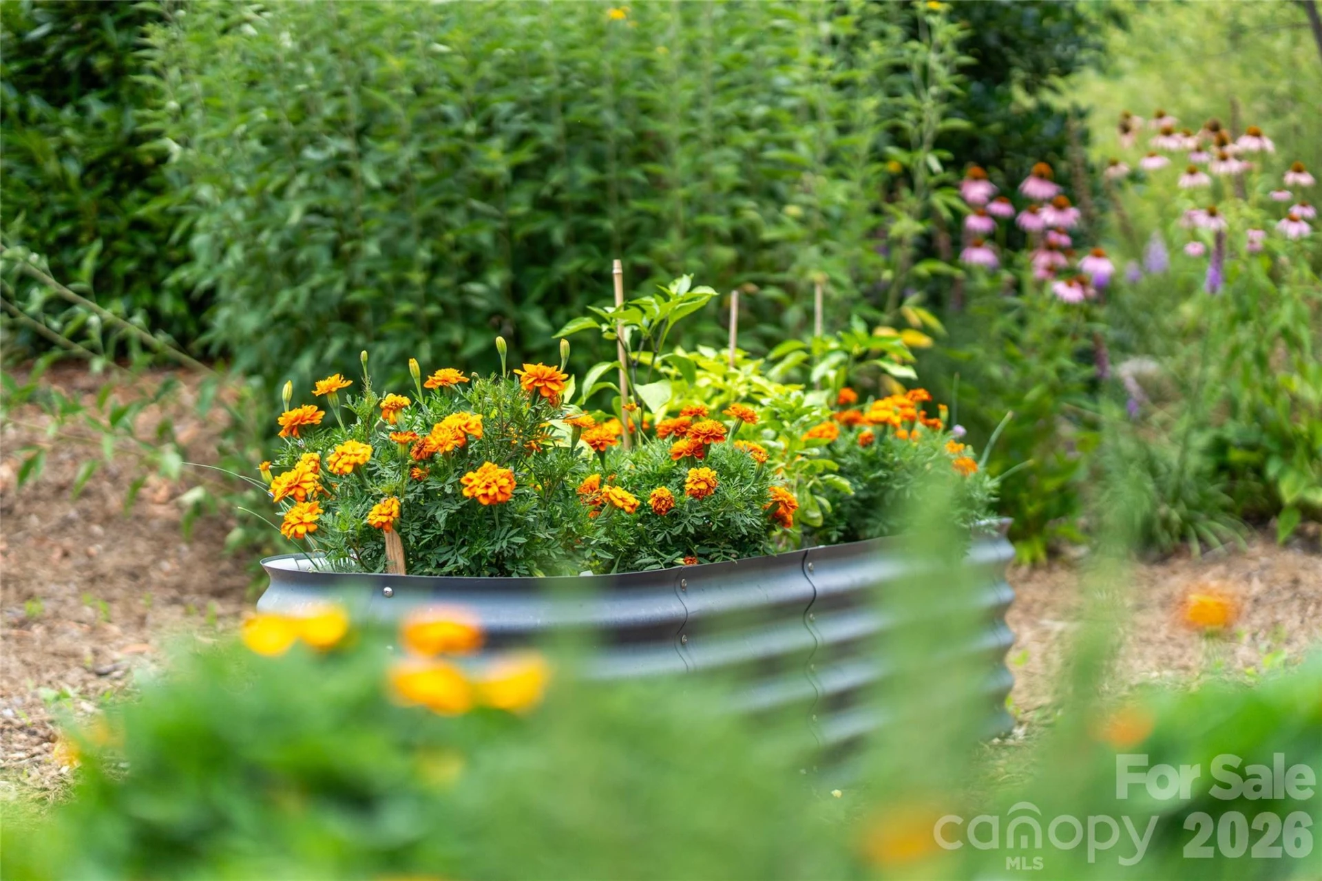 99999 E Garden Trail #46 - Photo 32
