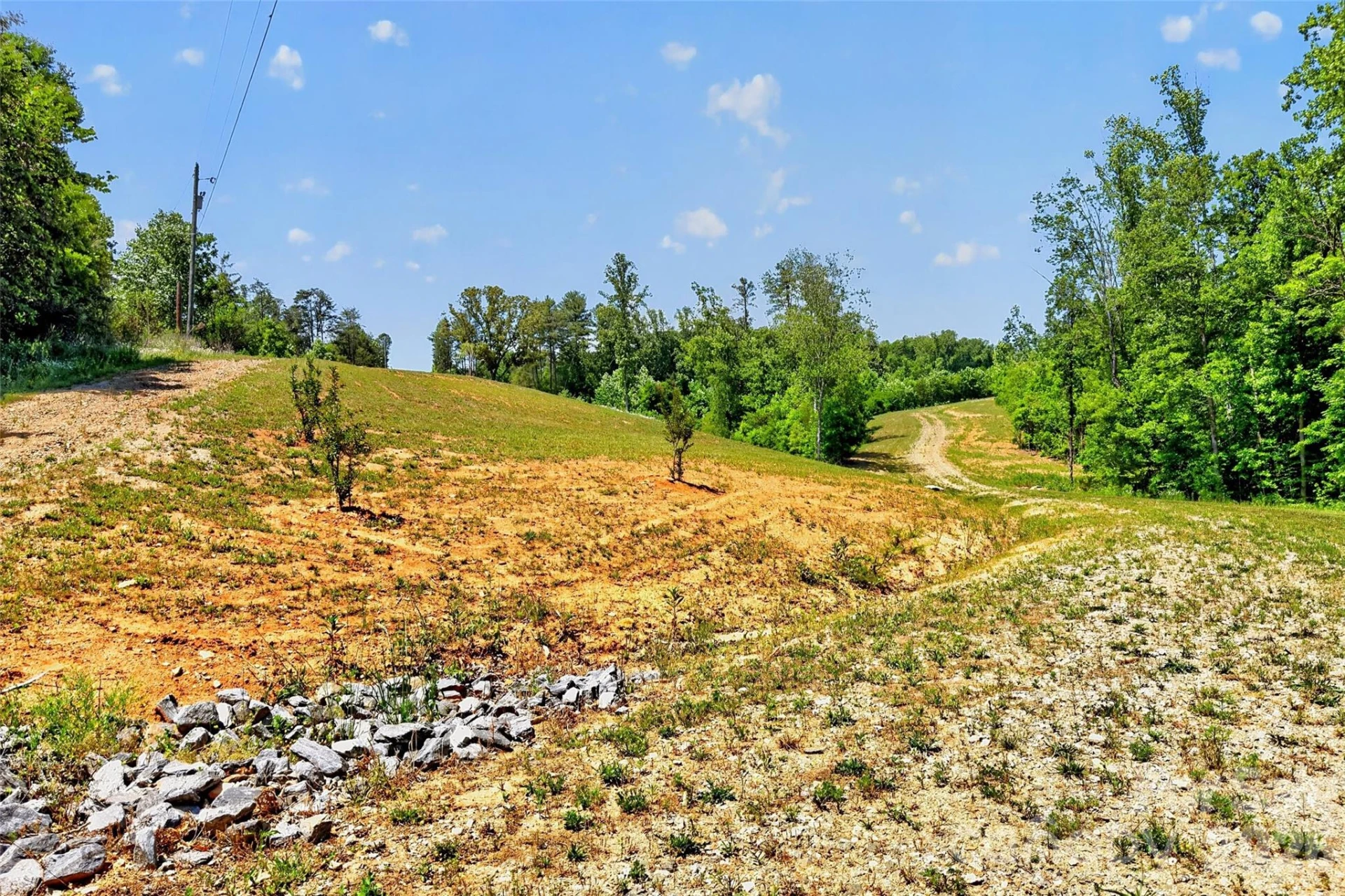 272 Randolph Drive #1 - Photo 6