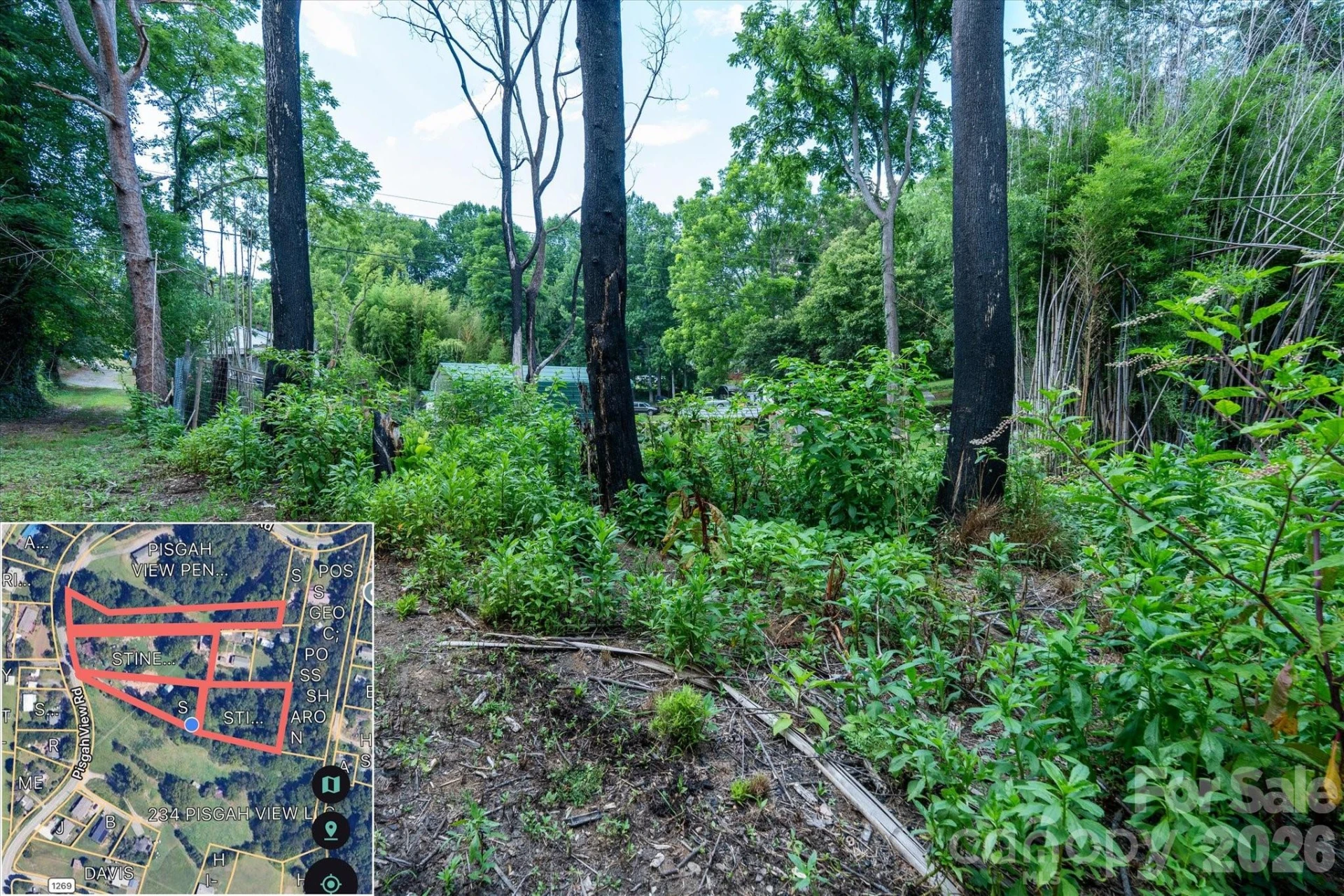 230 Pisgah View Road - Photo 15