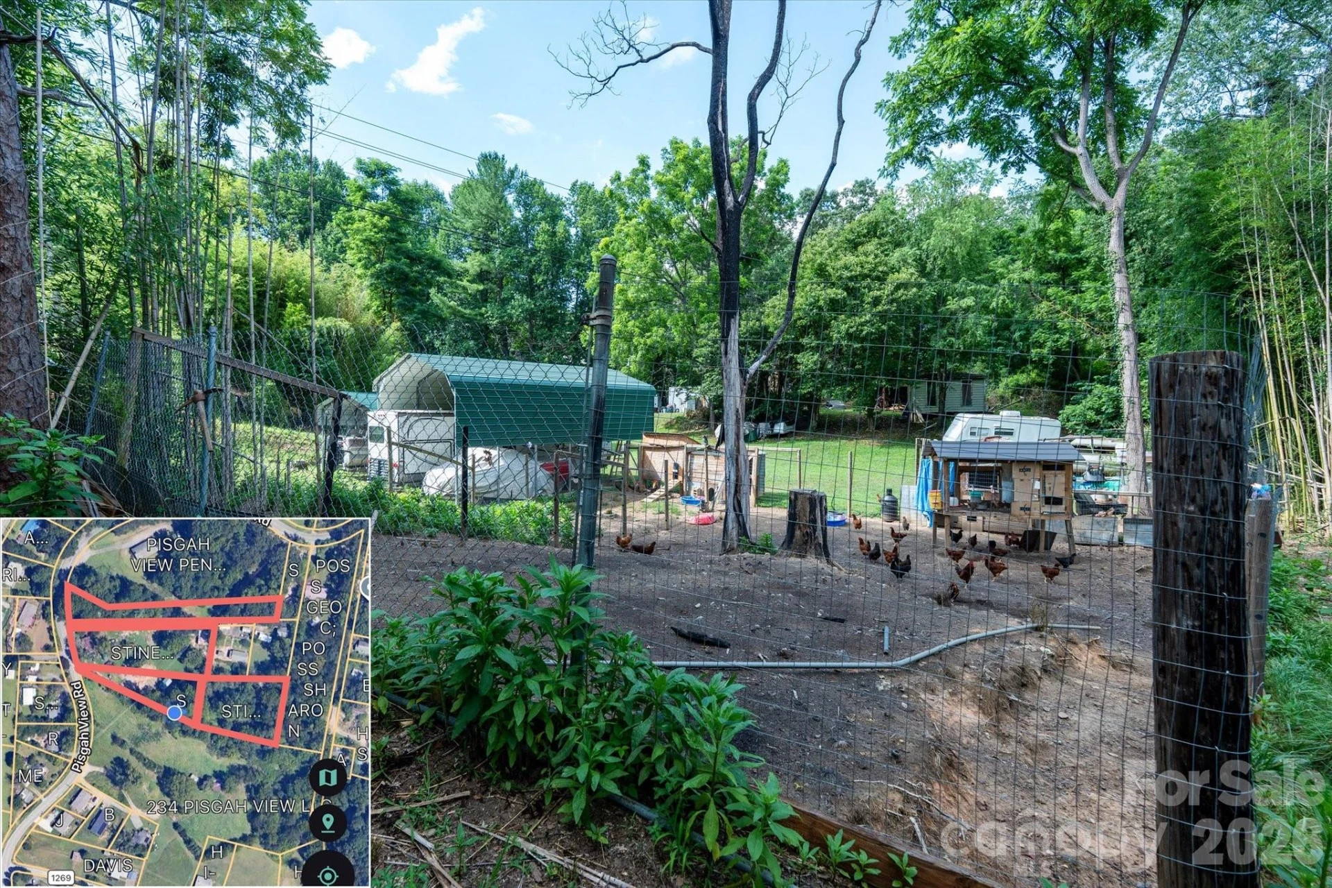 230 Pisgah View Road - Photo 16