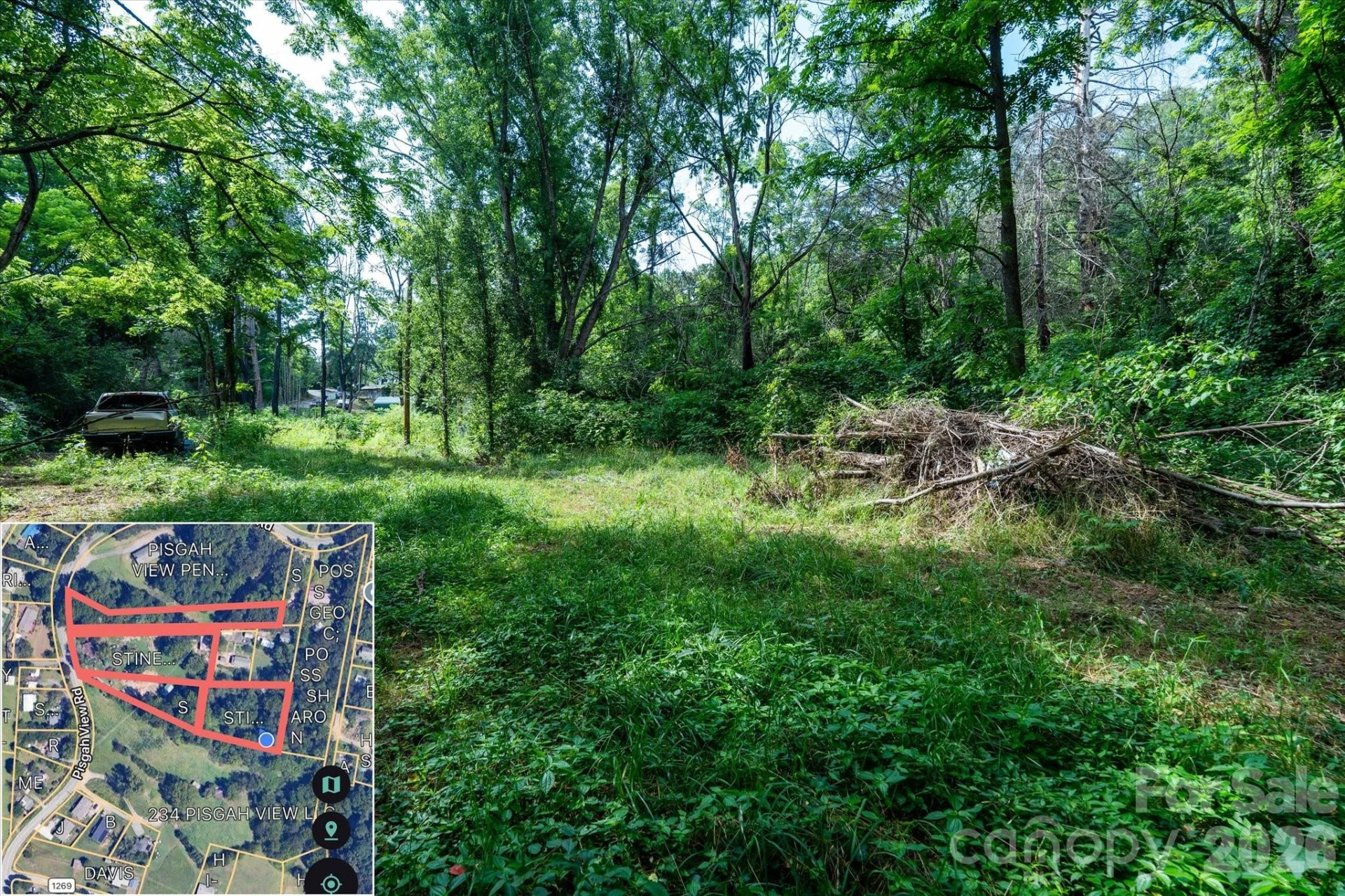 230 Pisgah View Road - Photo 19