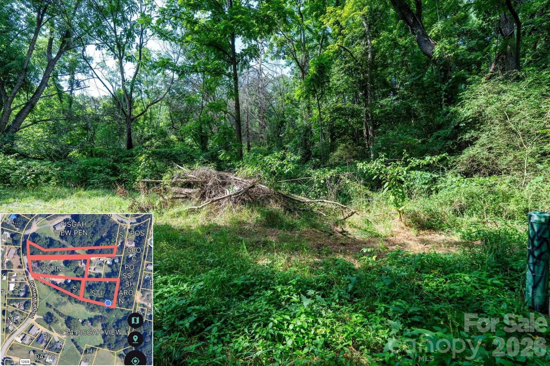 230 Pisgah View Road - Photo 20