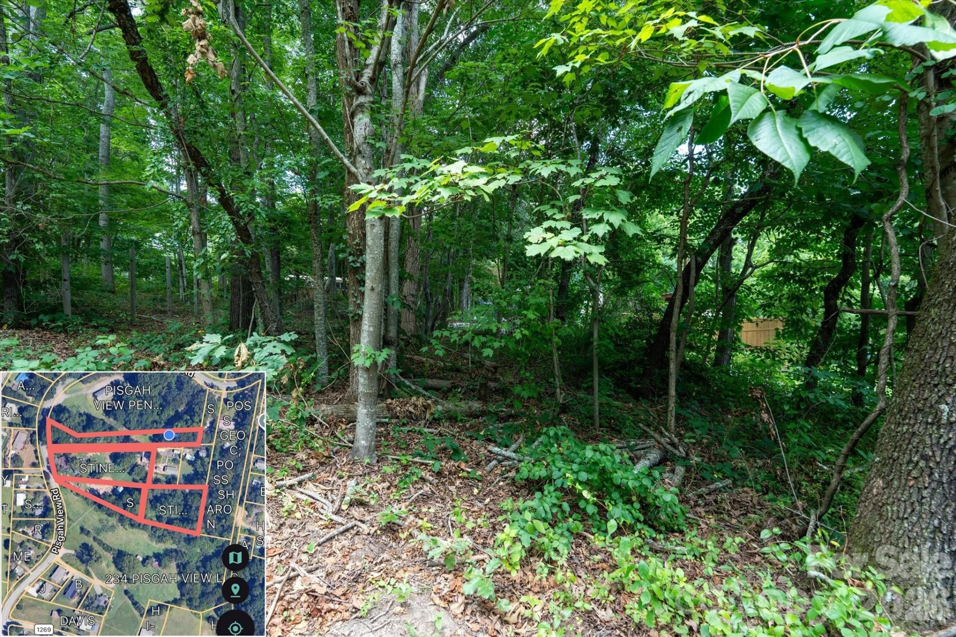 230 Pisgah View Road - Photo 10