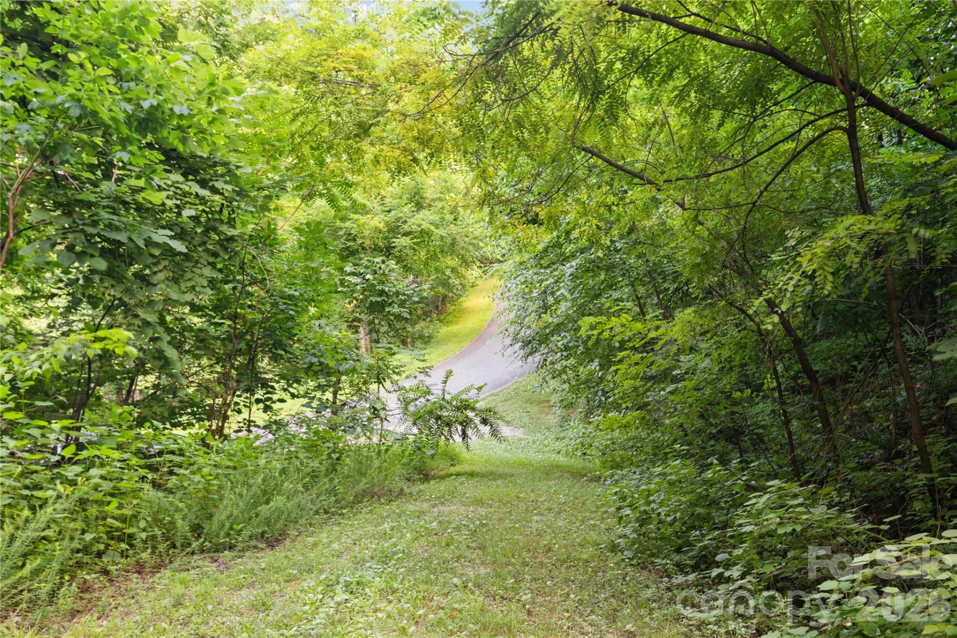 1915 Creston Drive - Photo 13