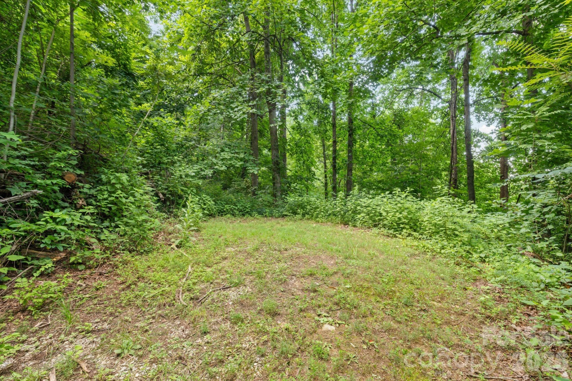1915 Creston Drive - Photo 17
