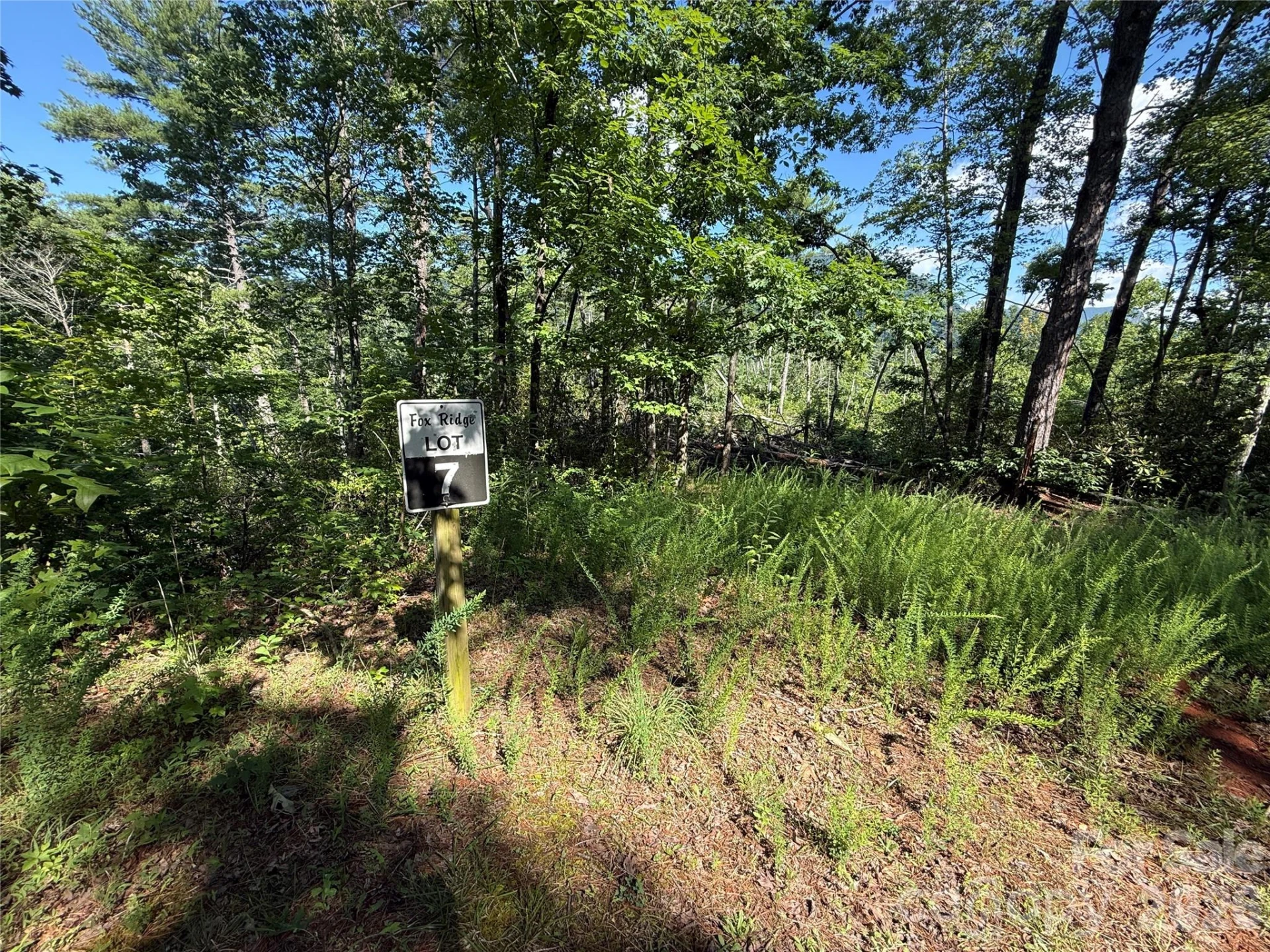 999 Fox Ridge Trail #7 - Photo 2