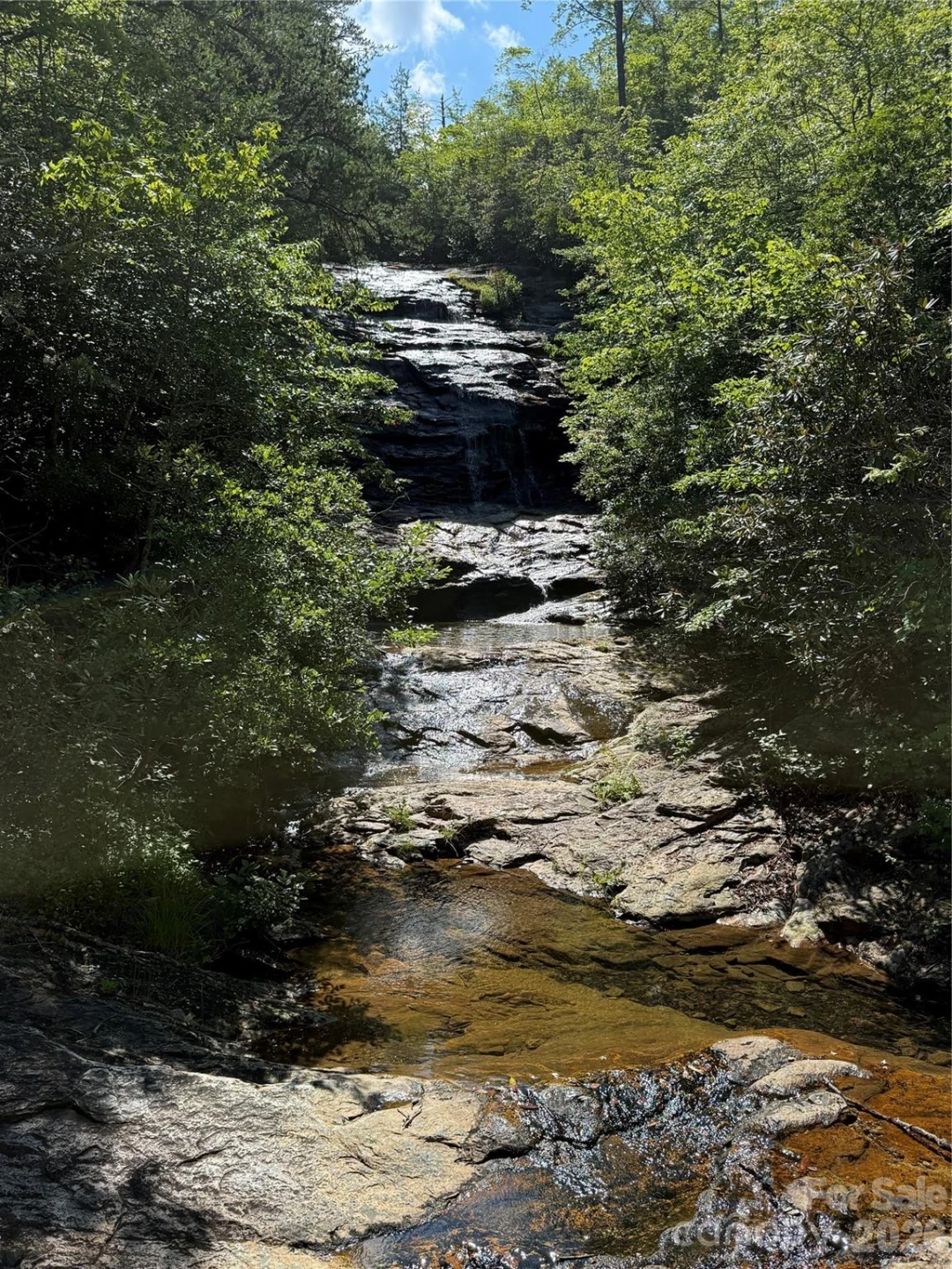 999 Fox Ridge Trail #7 - Photo 11