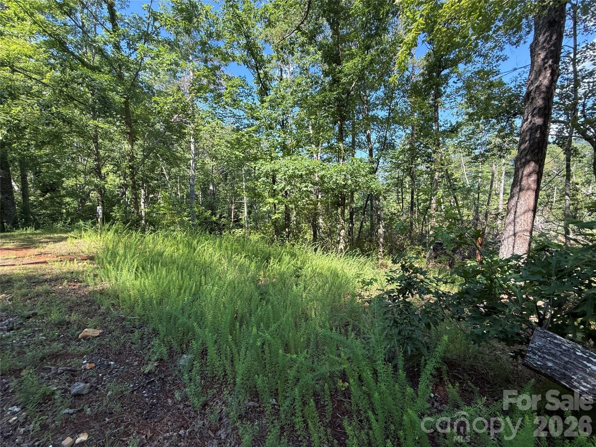 999 Fox Ridge Trail #7 - Photo 3