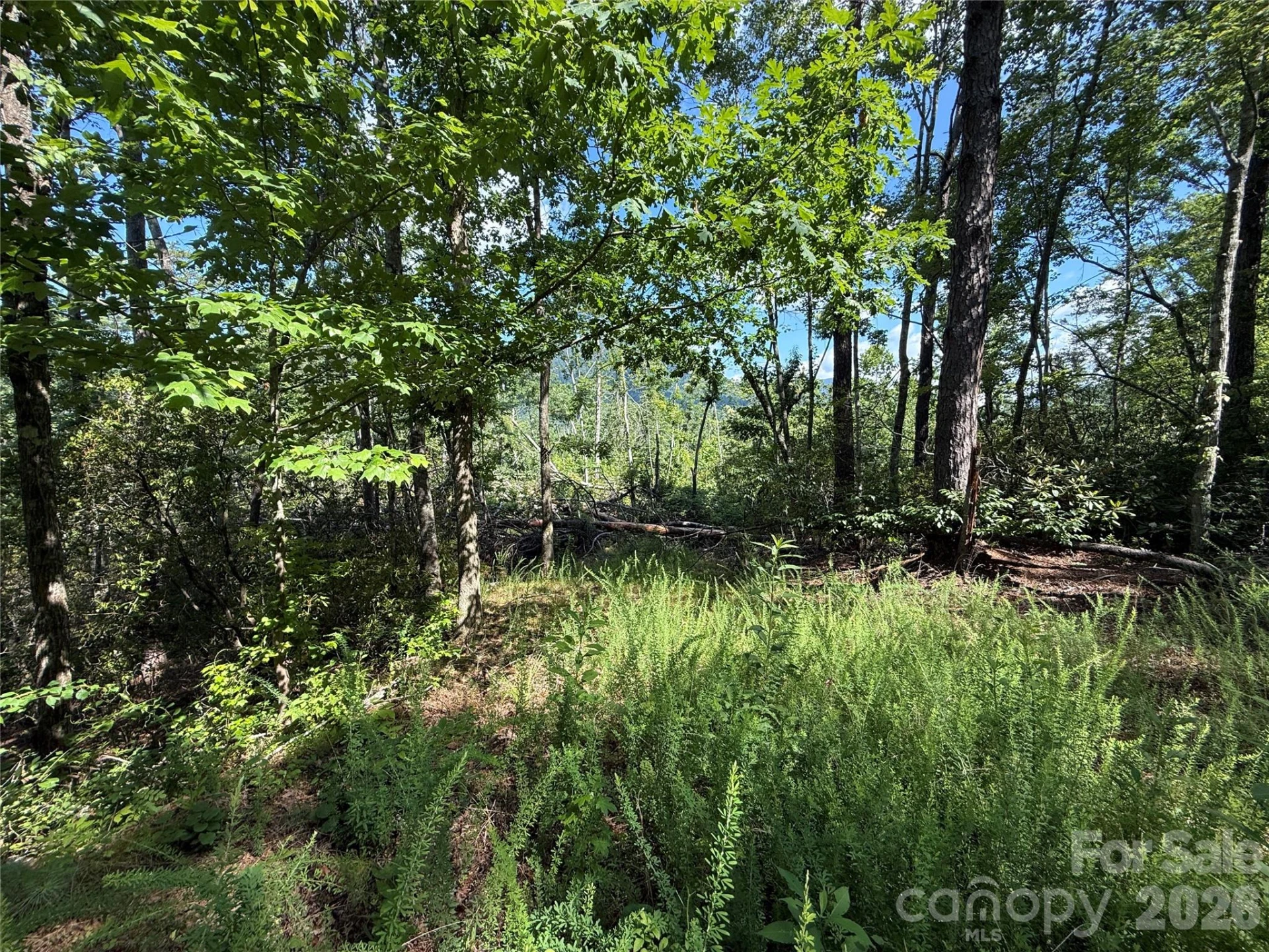 999 Fox Ridge Trail #7 - Photo 4