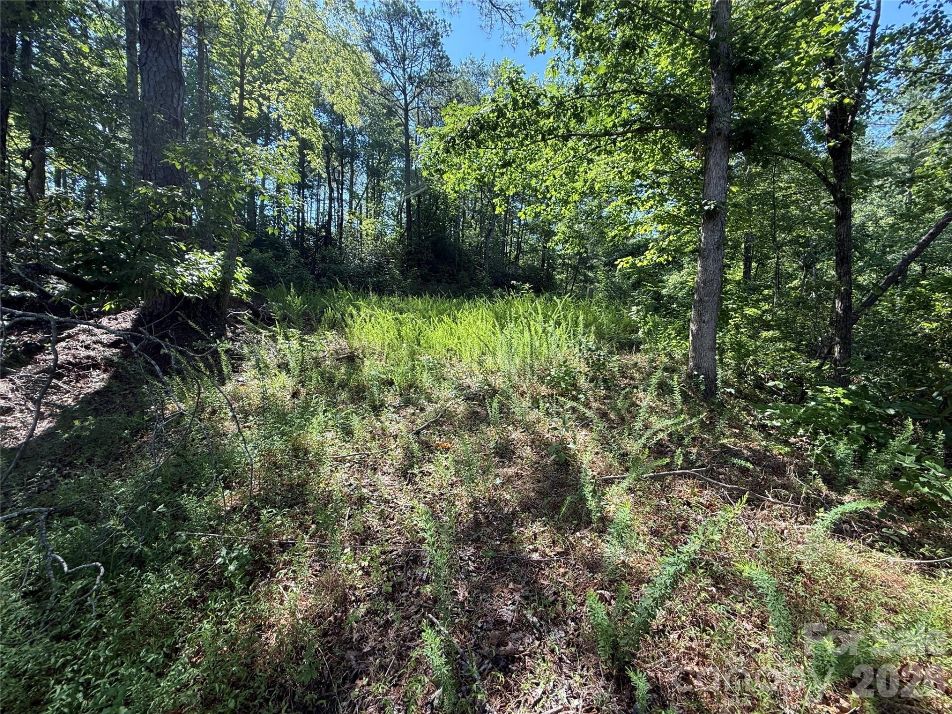 999 Fox Ridge Trail #7 - Photo 5