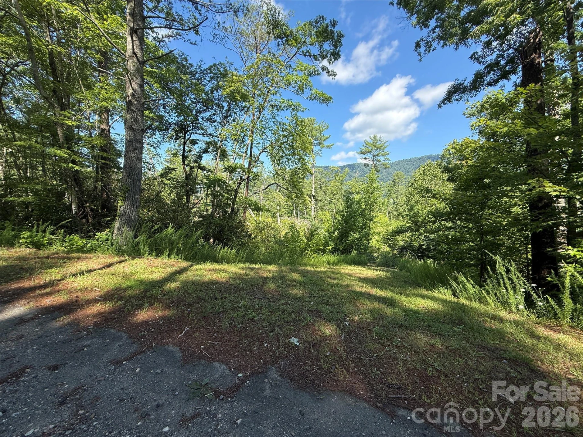 999 Fox Ridge Trail #7 - Photo 7