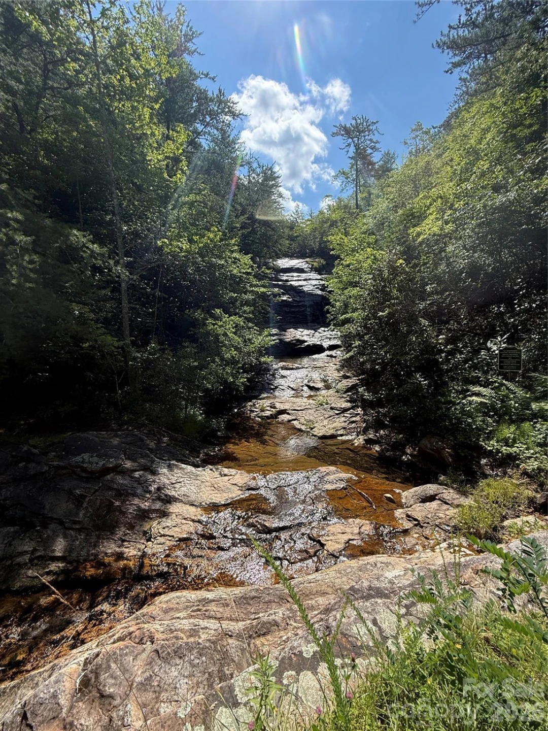 999 Fox Ridge Trail #7 - Photo 9