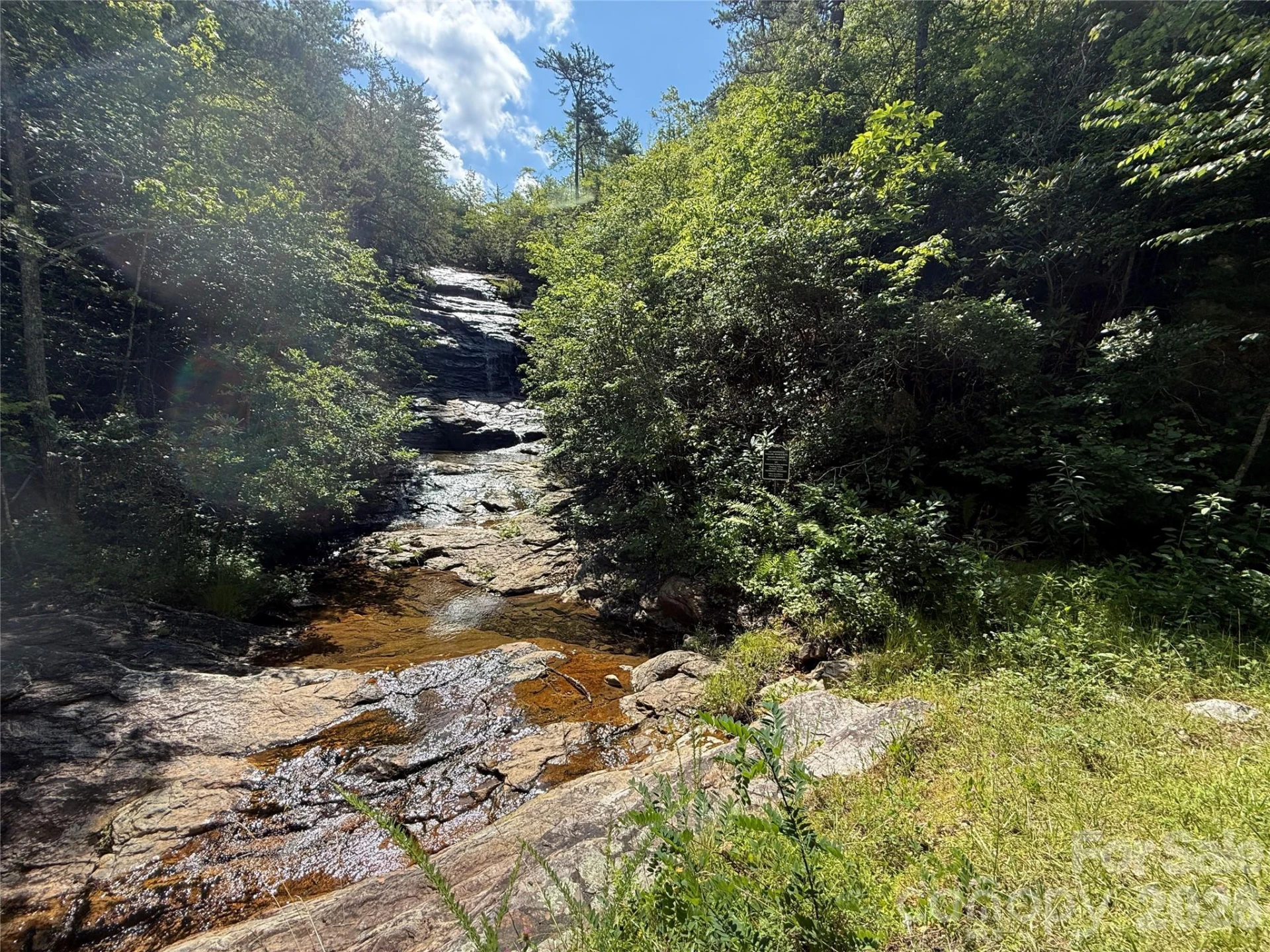 999 Fox Ridge Trail #7 - Photo 10