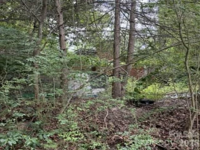 3 S and T Spirit Drive - Photo 2