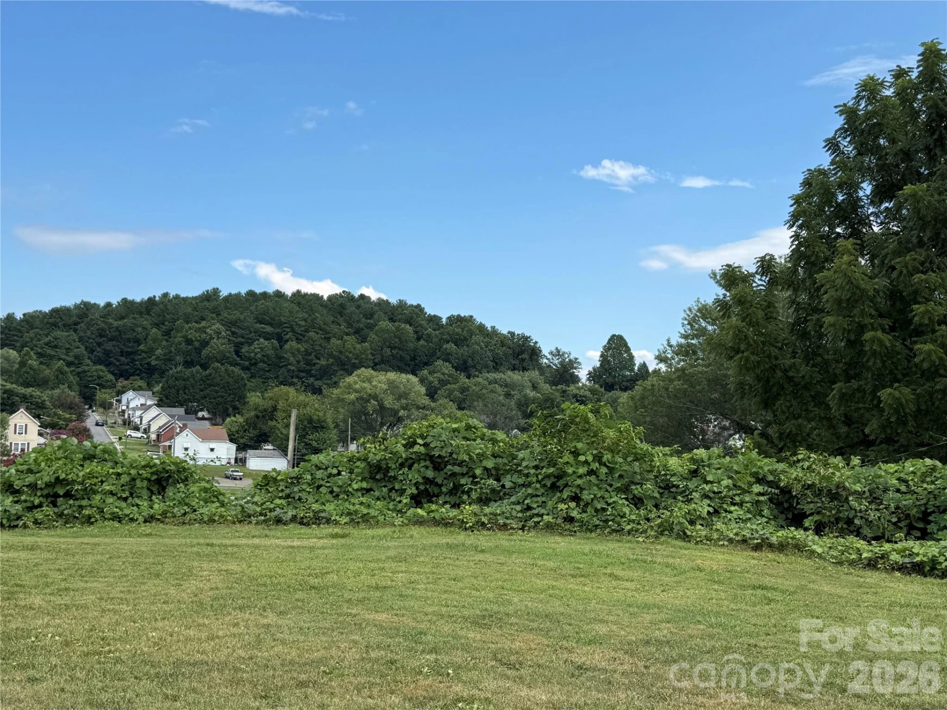 368 Morehead Road - Photo 2