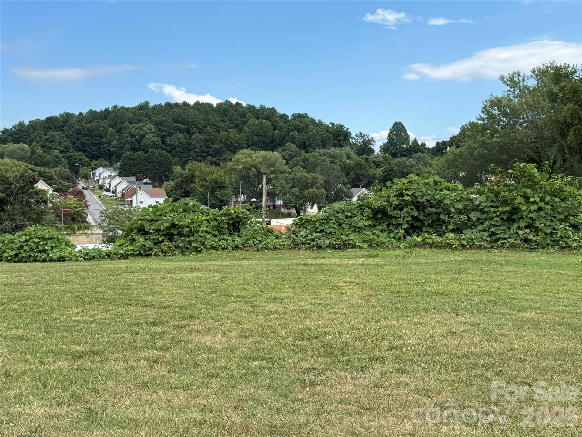 368 Morehead Road - Photo 3